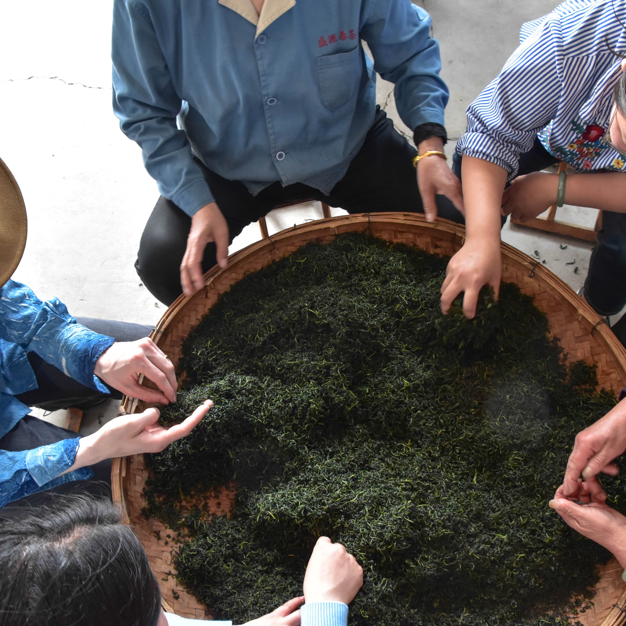 Verdant Tea | Warehouse Saint Paul