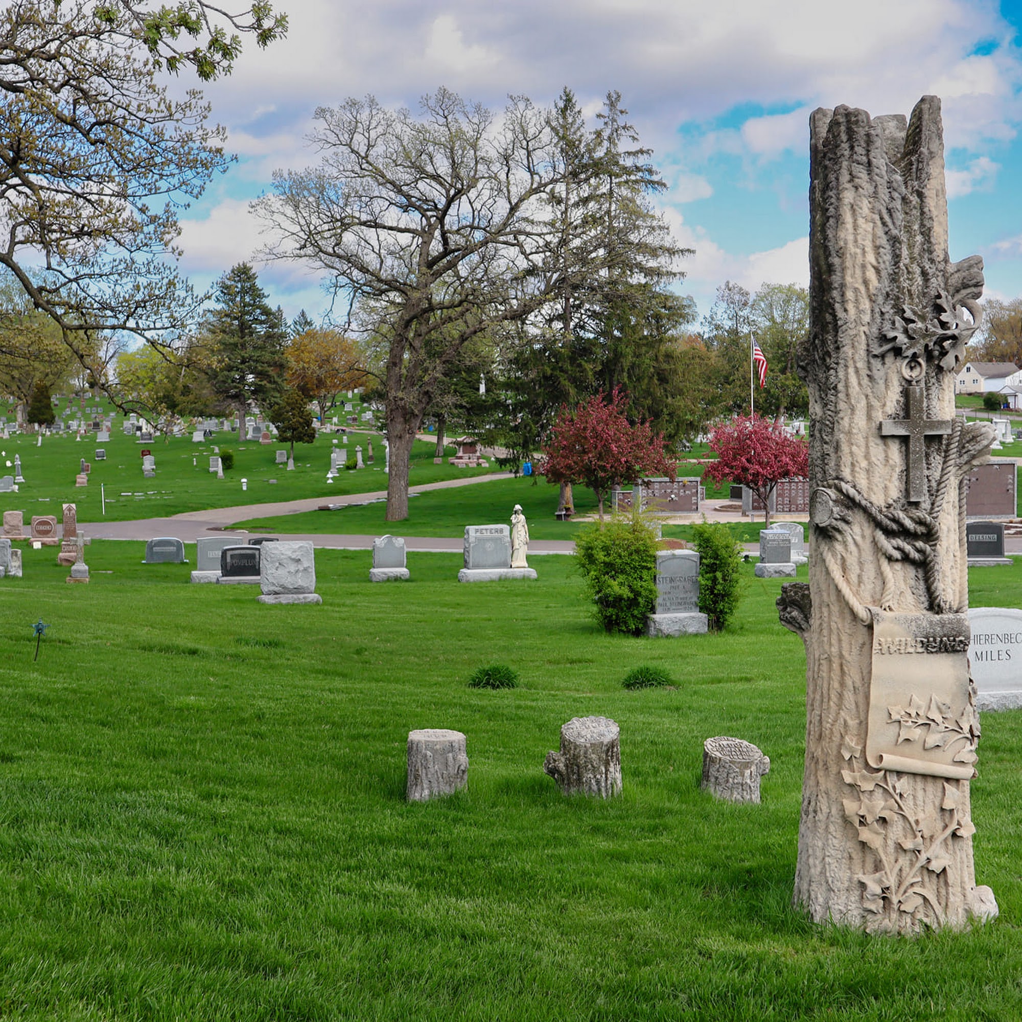 Elmhurst Cemetery Saint Paul