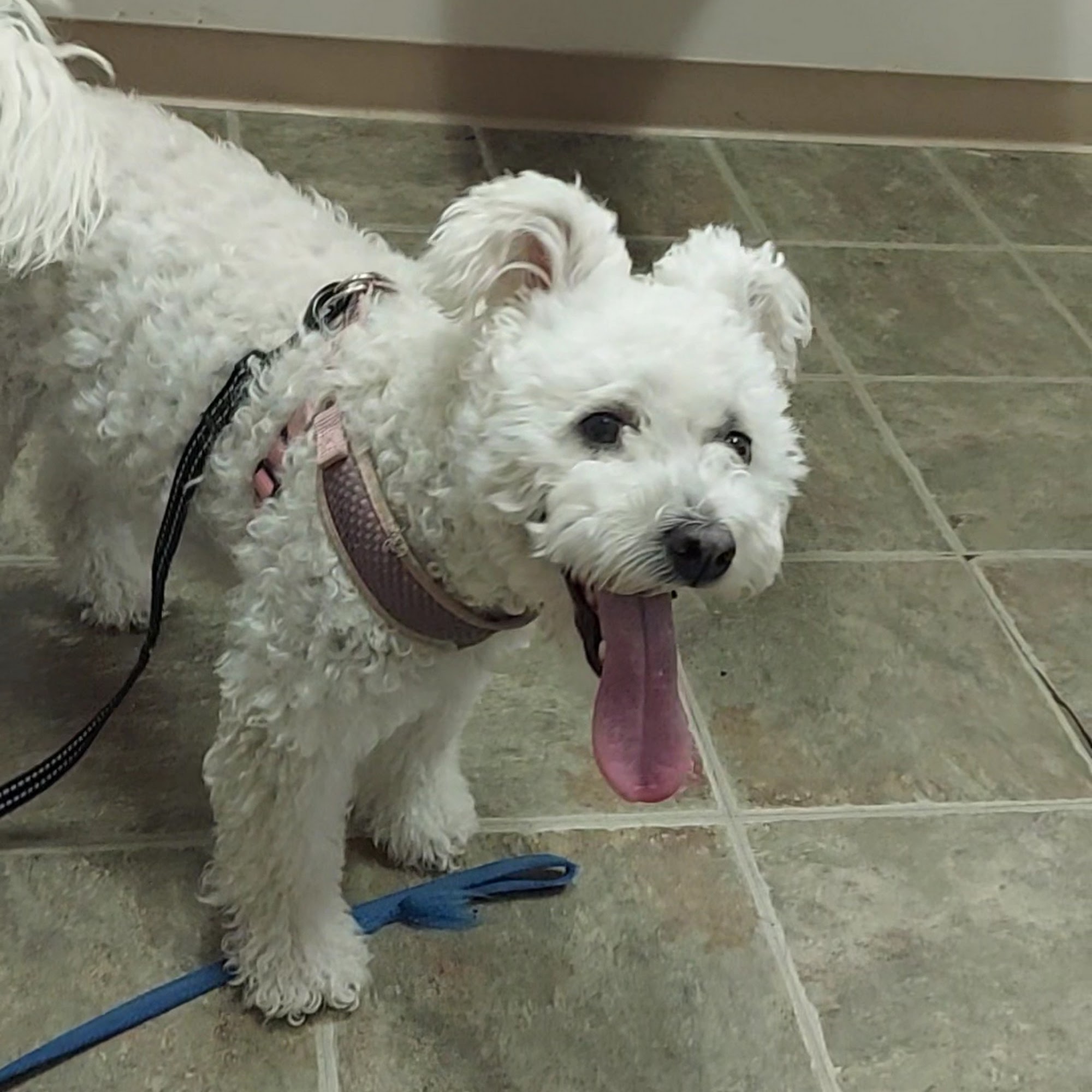 Gentle Doctor Veterinary Clinic Savage