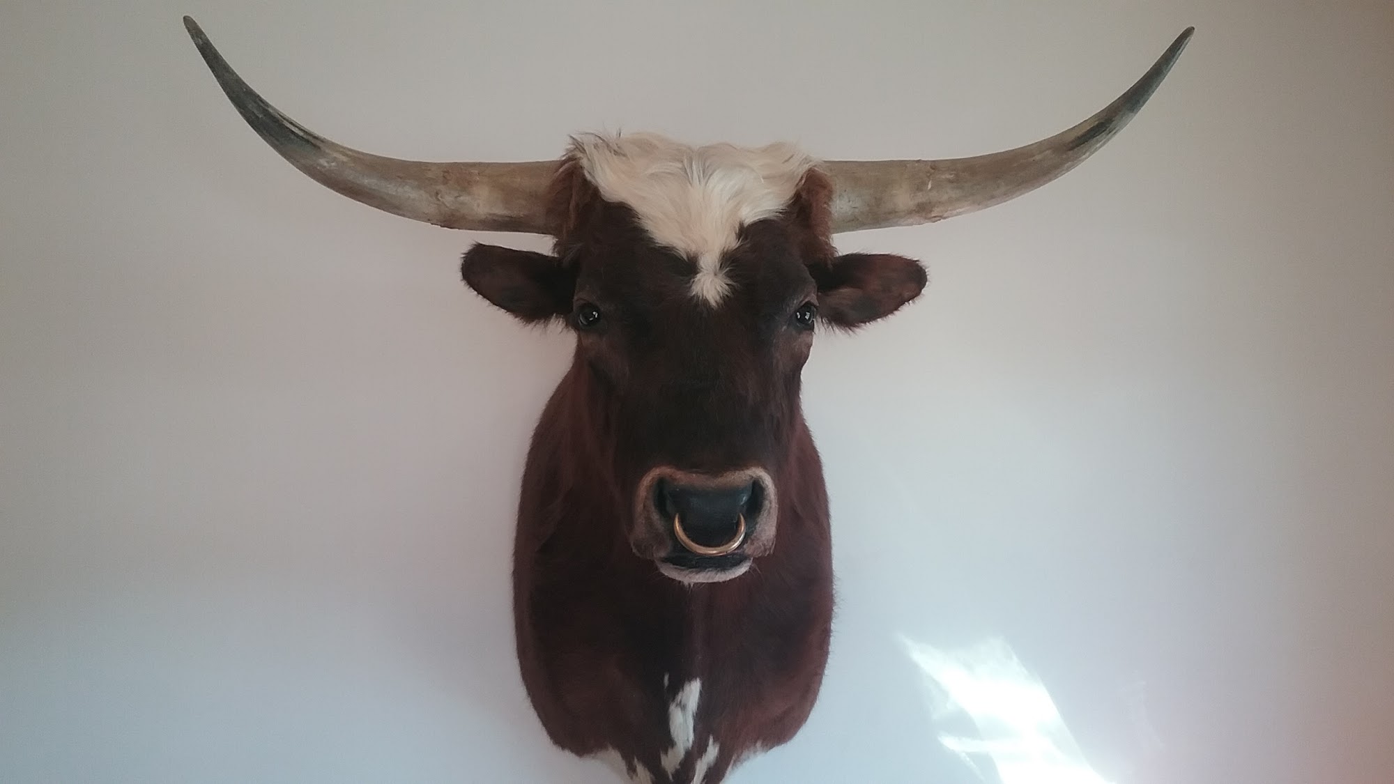 HUB 71 Convenience - Sebeka Sebeka