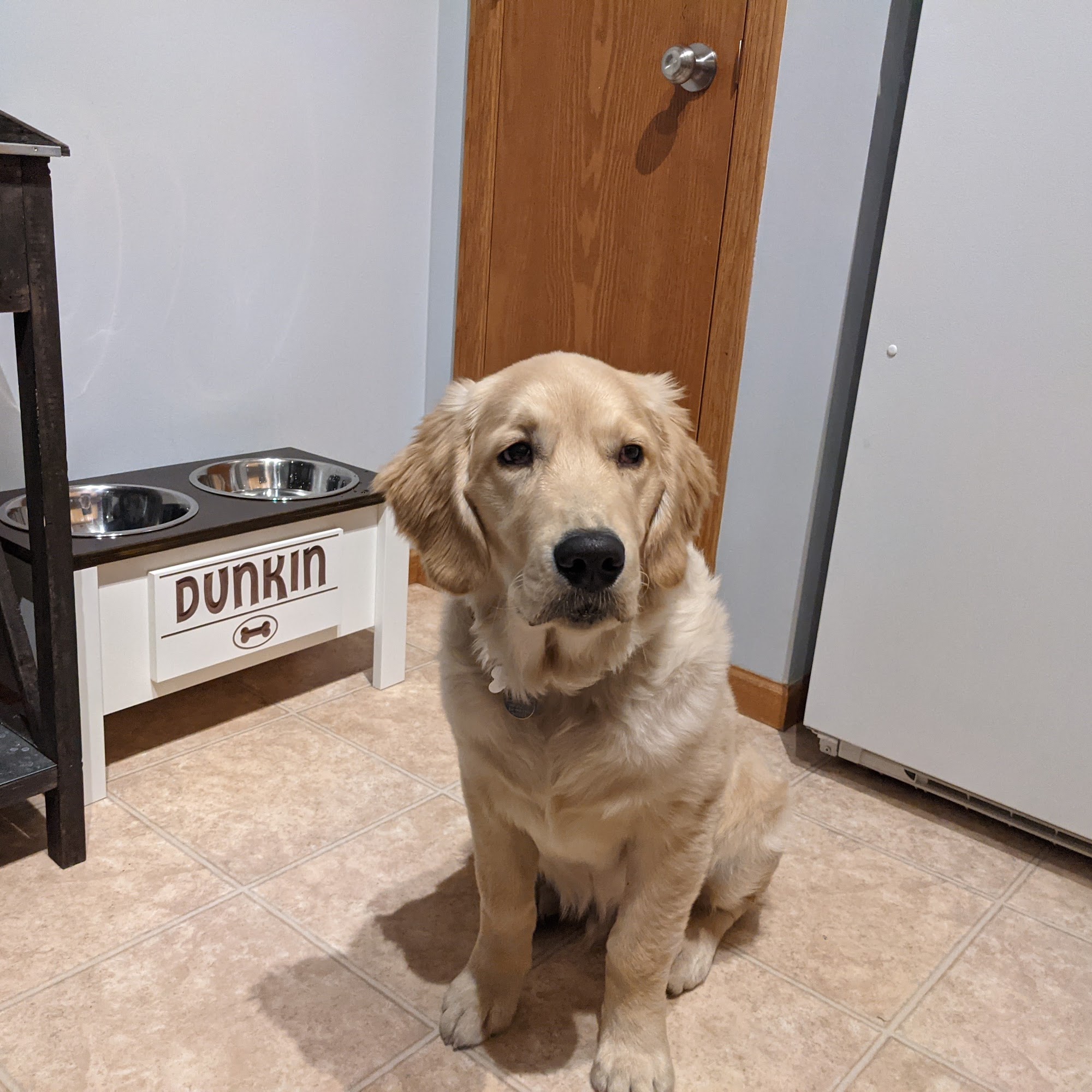 Marschall Road Animal Hospital Shakopee