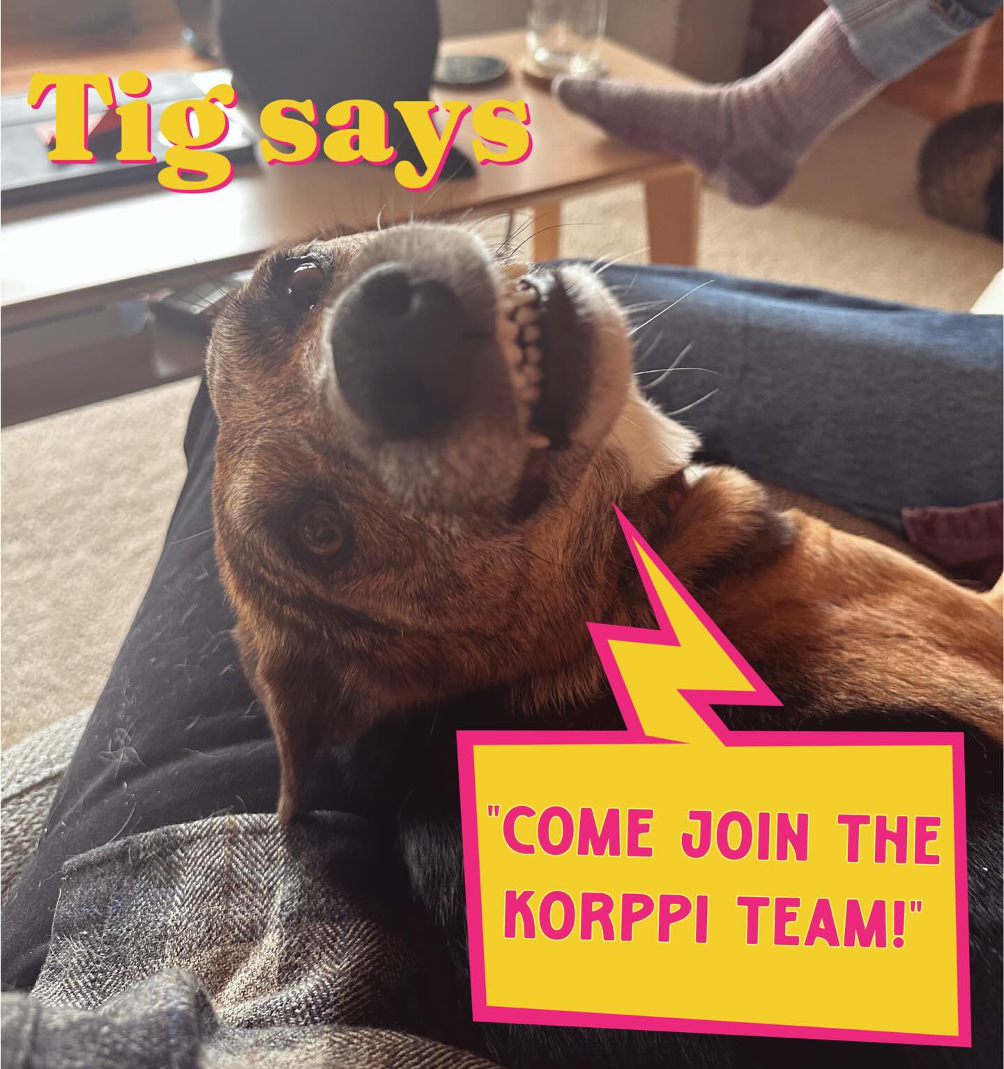 Korppi Coffee + Bakeshop St. Cloud