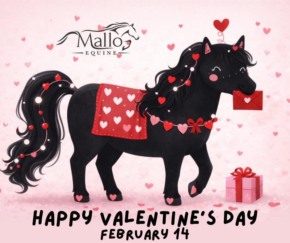 Mallo Equine St. Cloud