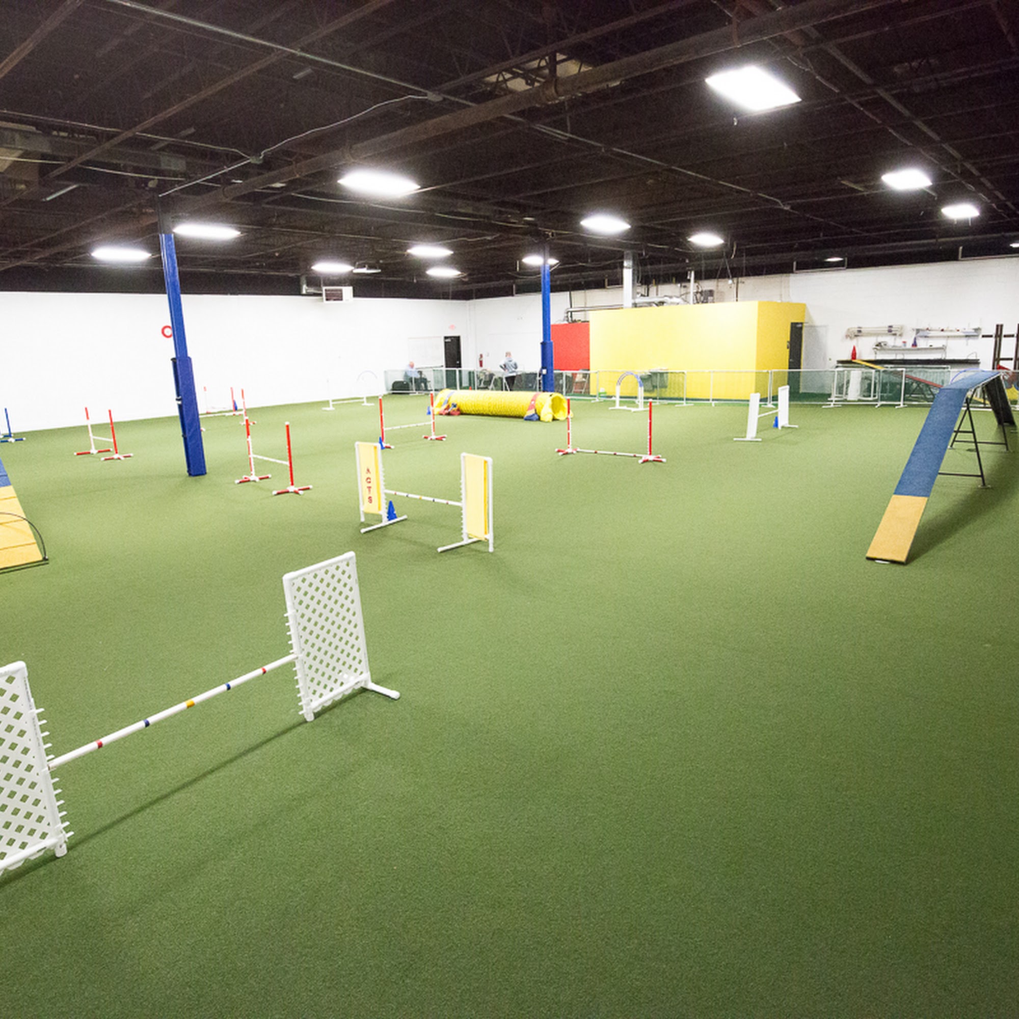 Agile Canines Training School St. Louis Park