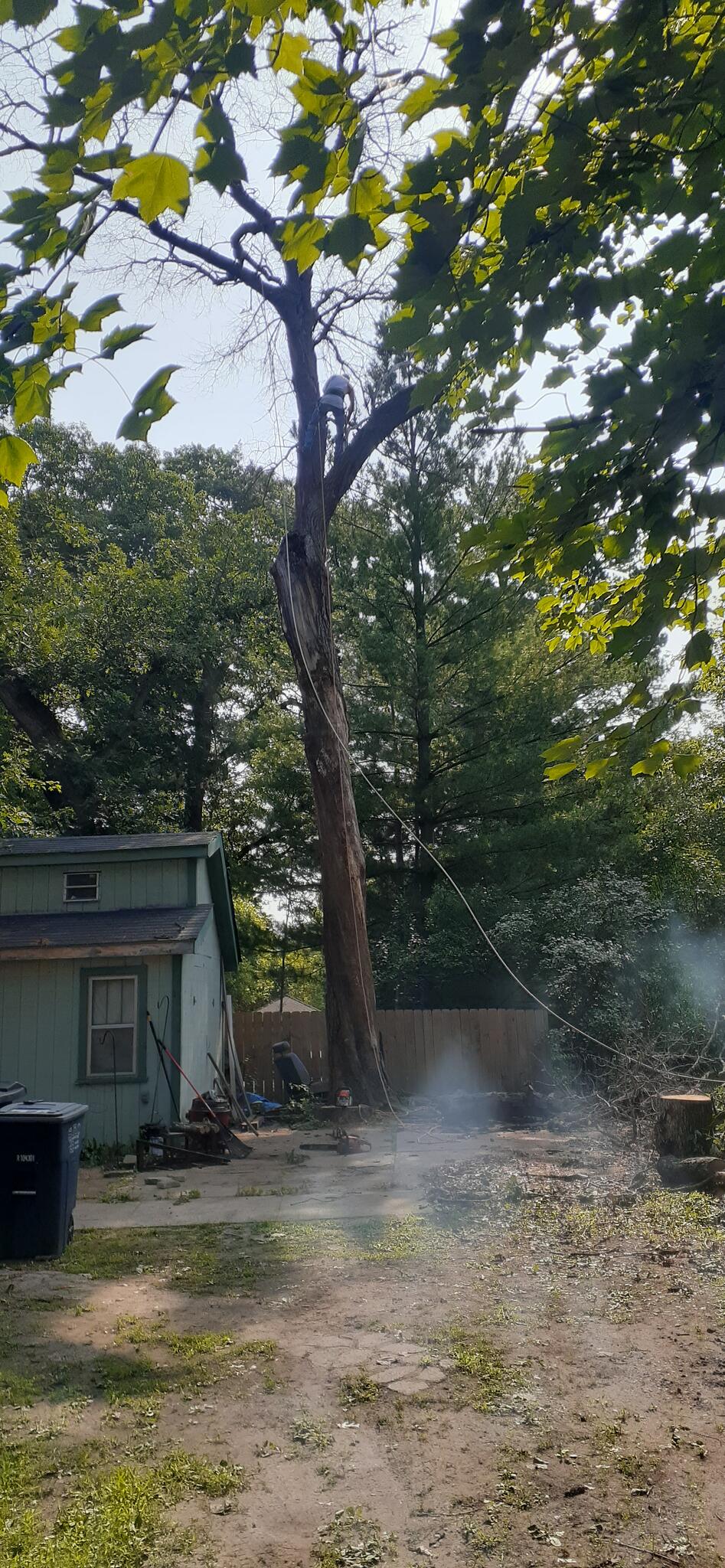 Photo credit: nextdoor