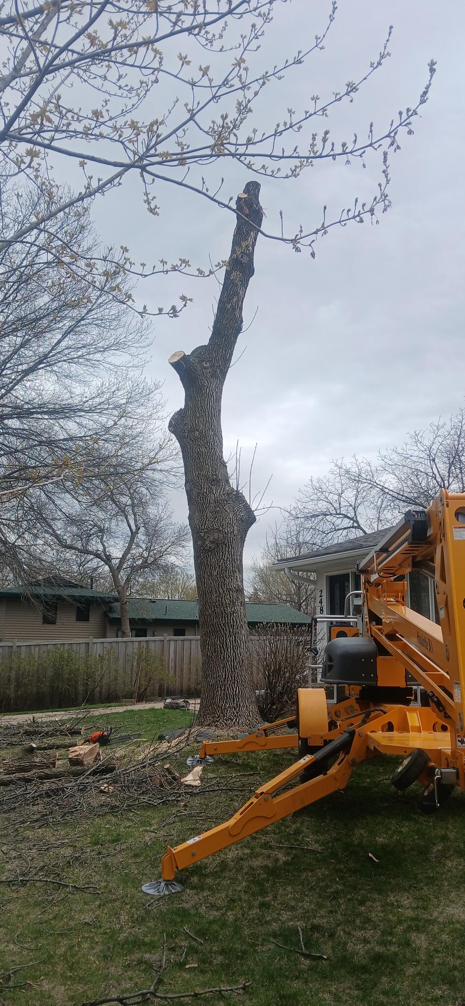 Photo credit: nextdoor