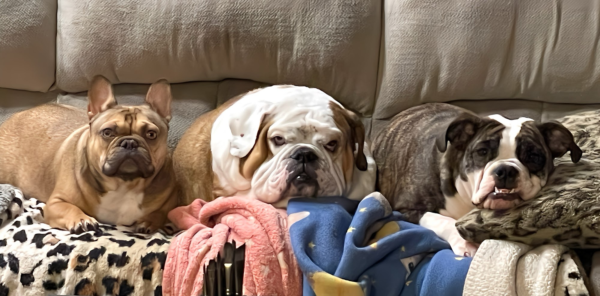 Stillwater Veterinary Clinic Stillwater