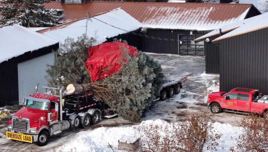 Aamodt's Apple Farm Stillwater