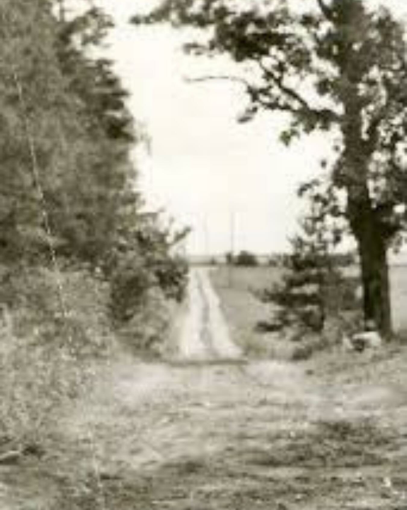 Aamodt's Apple Farm Stillwater