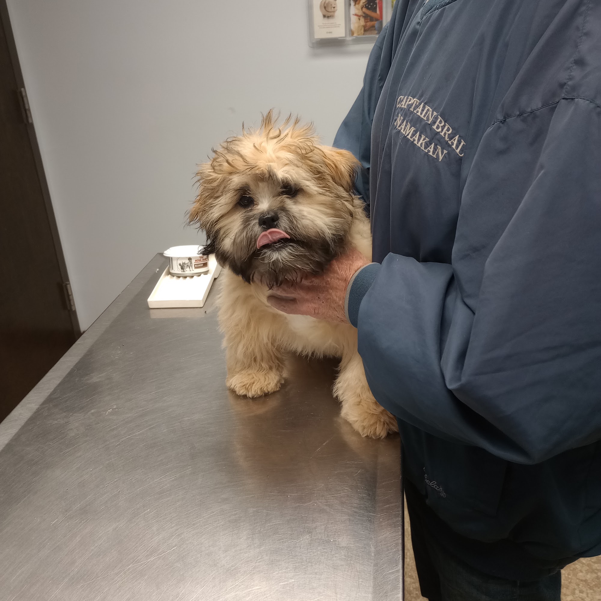 Northland Animal Hospital Virginia