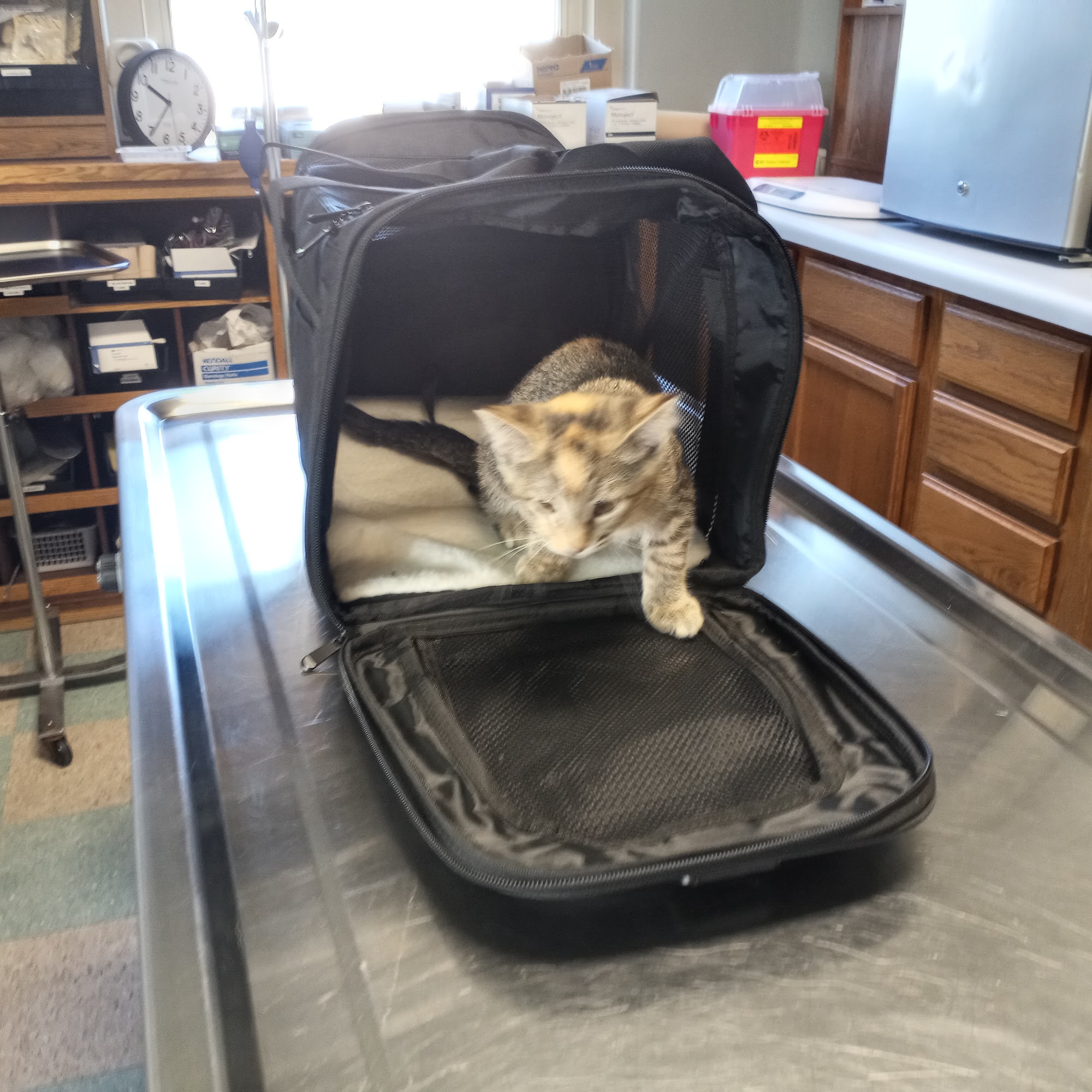 Wabasha Veterinary Clinic Wabasha