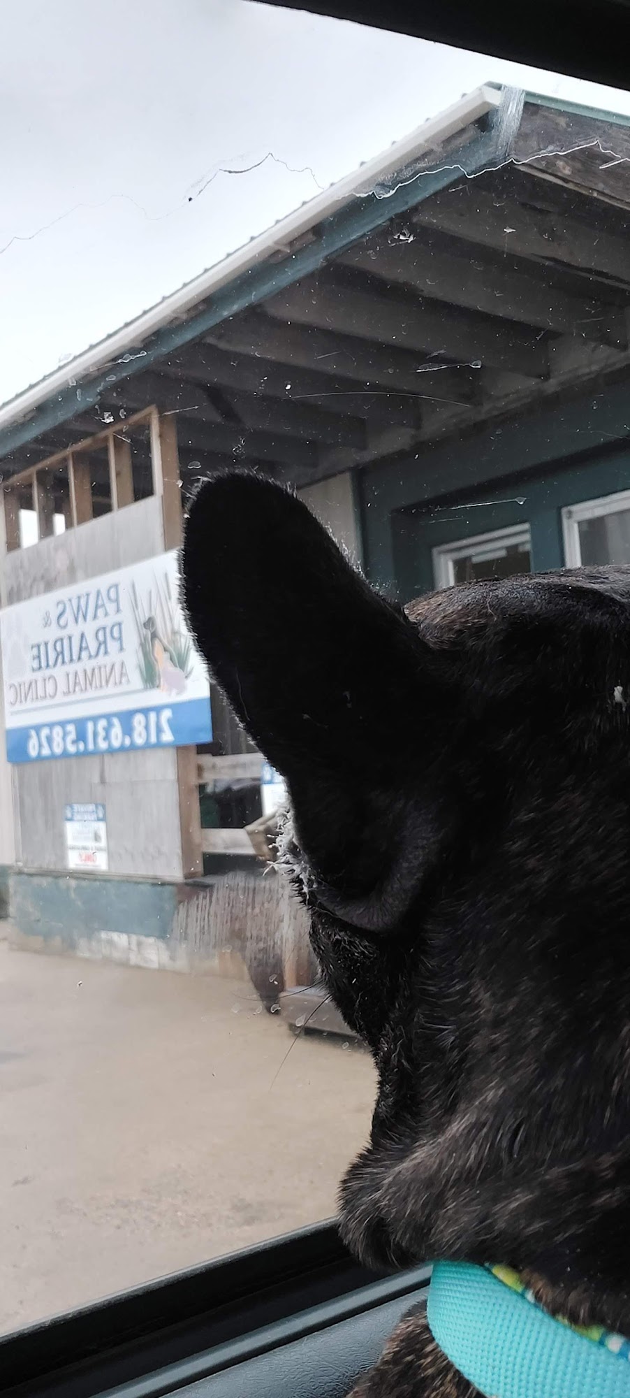 Paws & Prairie Animal Clinic Wadena