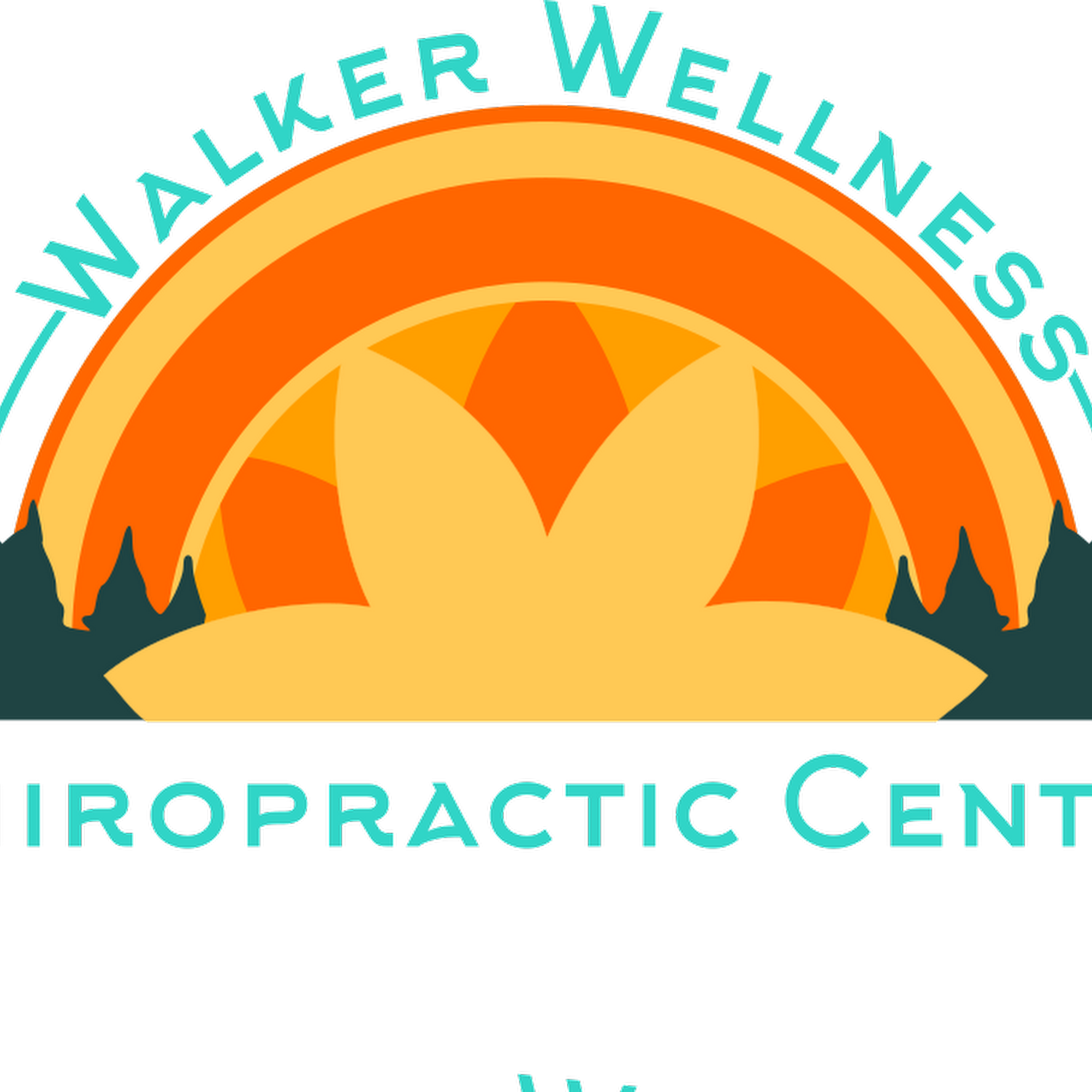 Walker Wellness Chiropractic 209 Vine St, Walker Minnesota 56484