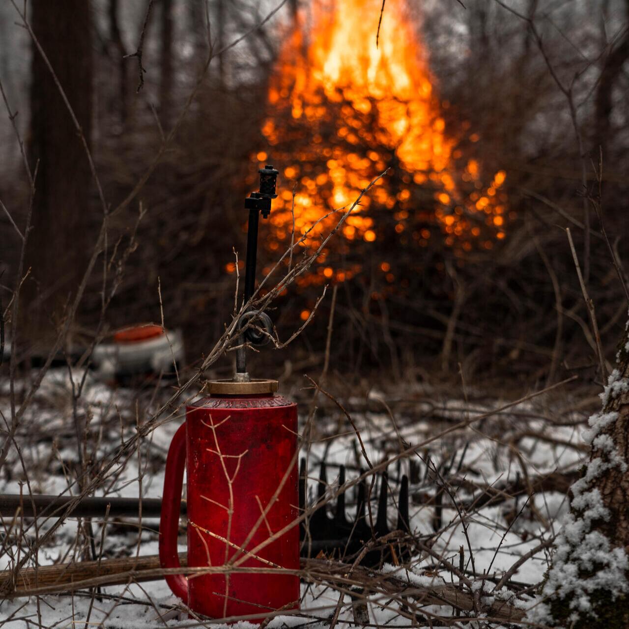 Photo credit: nextdoor