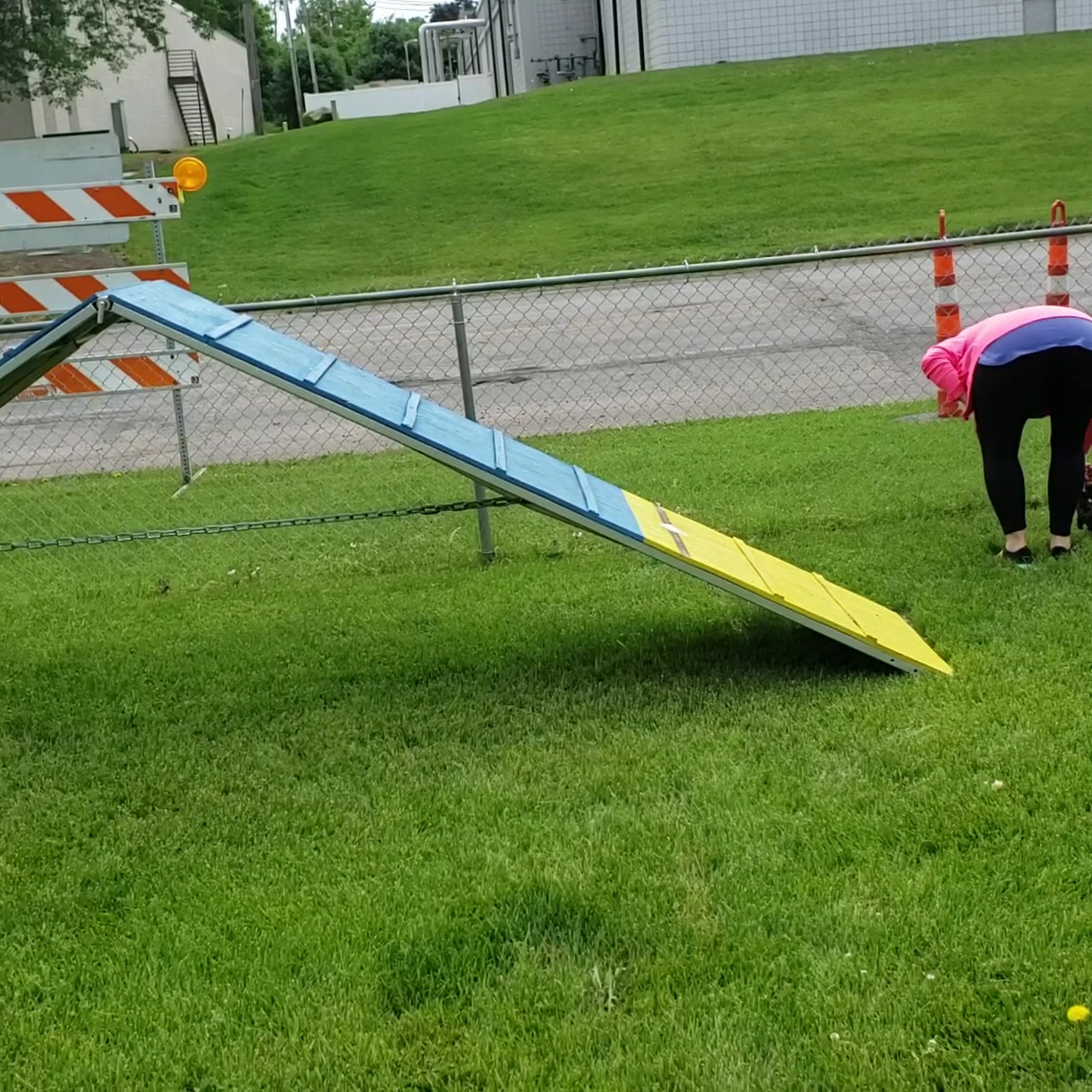 The Canine Coach - West St Paul West Saint Paul