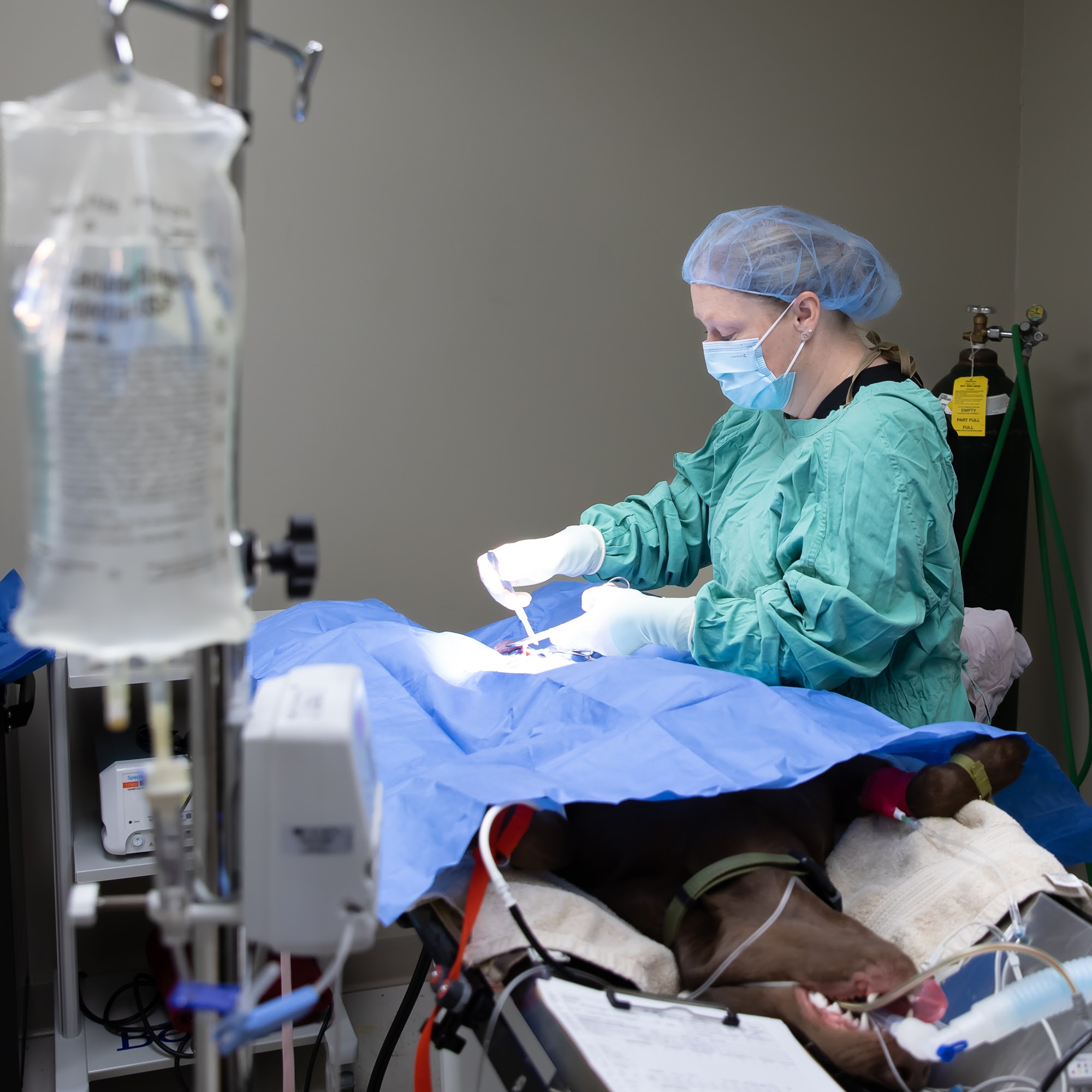 Birch Lake Animal Hospital White Bear Lake