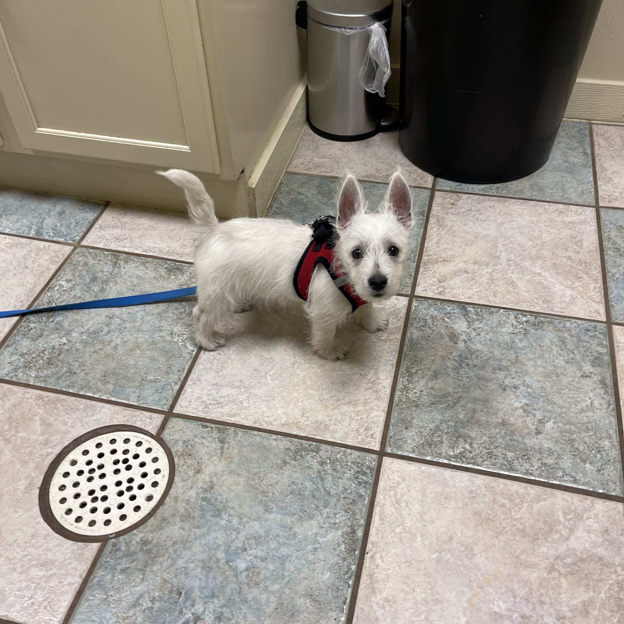 South 71 Veterinary Clinic Willmar