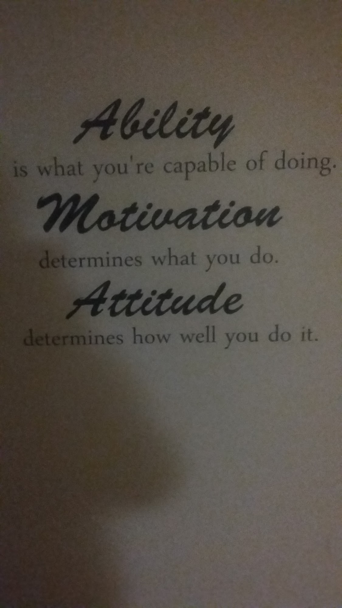 Stephen J Reigstad Optometry