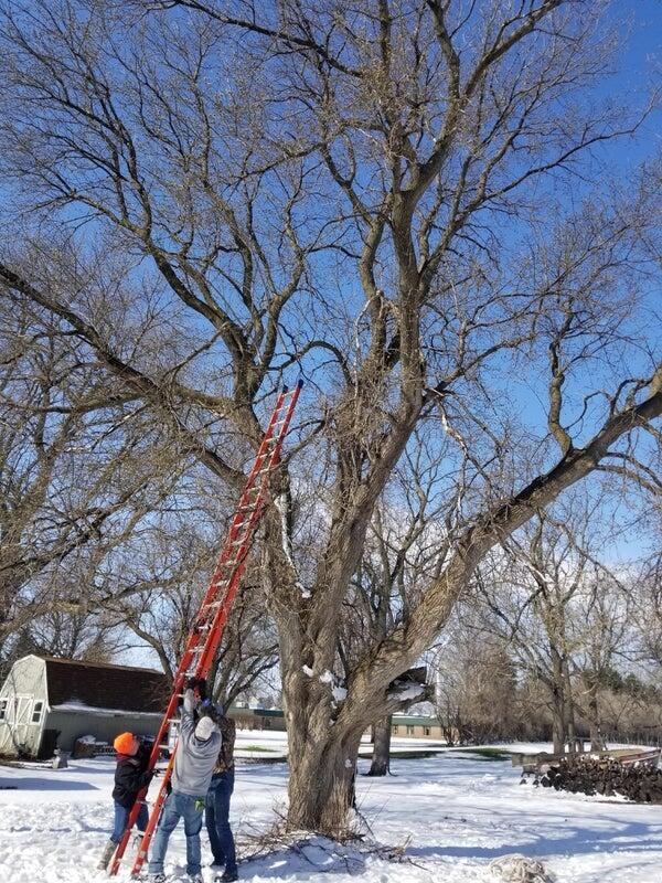 Photo credit: nextdoor