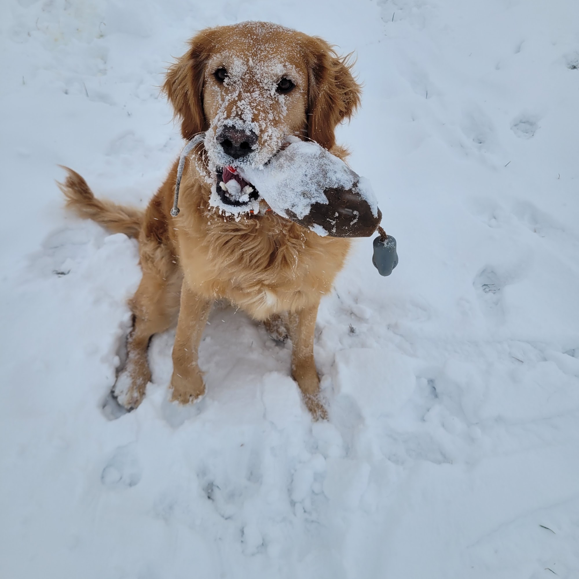 Winona Veterinary Hospital Winona