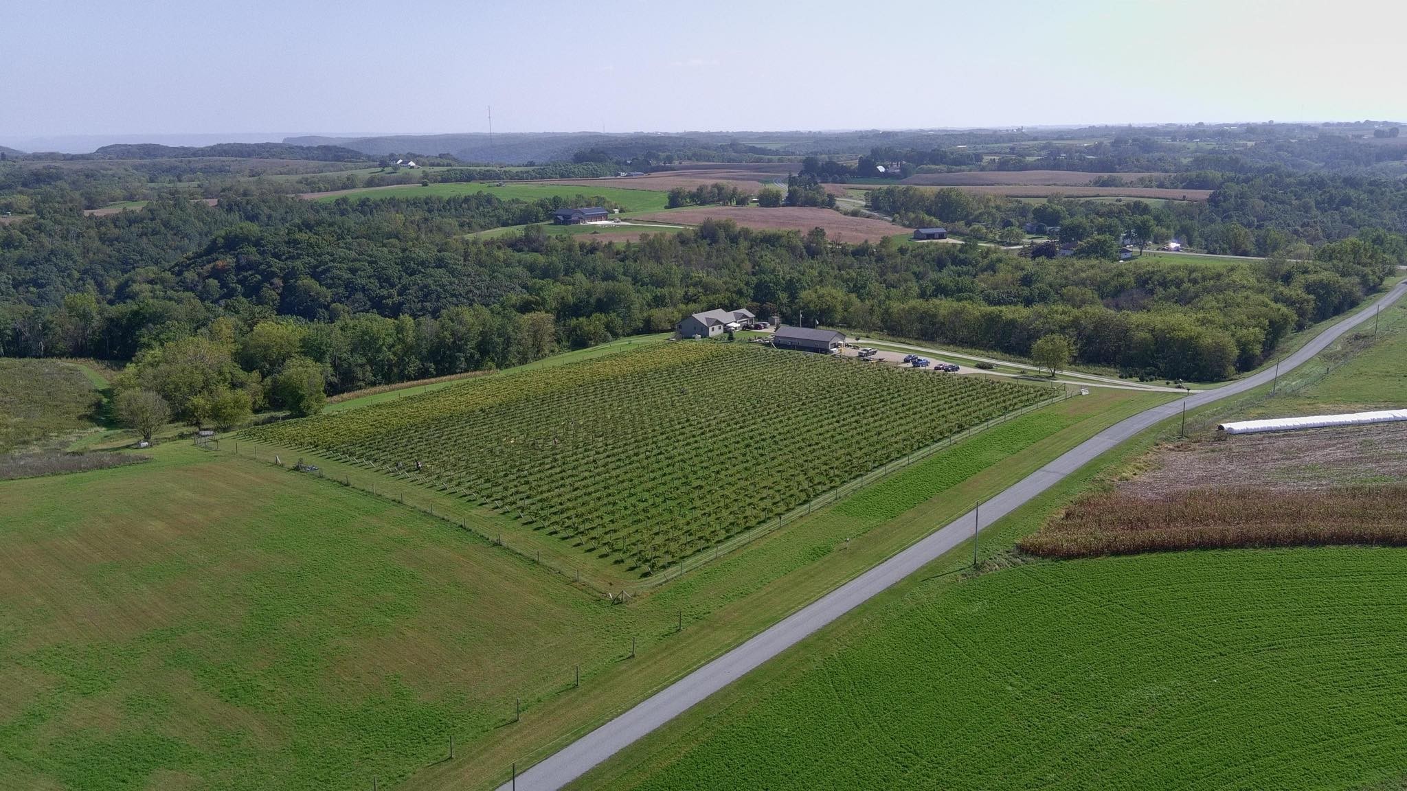 Bluff Top Vineyard & Winery Winona