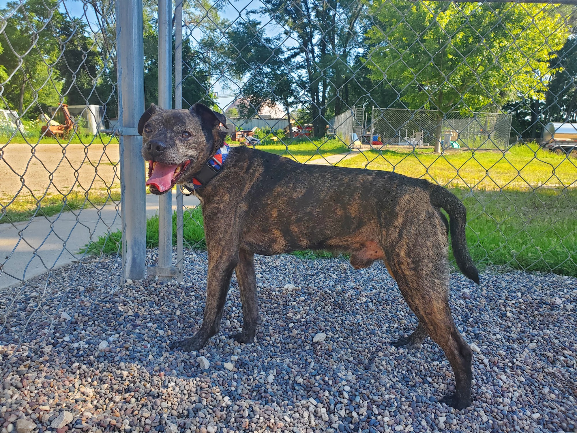 Winona Area Humane Society Winona
