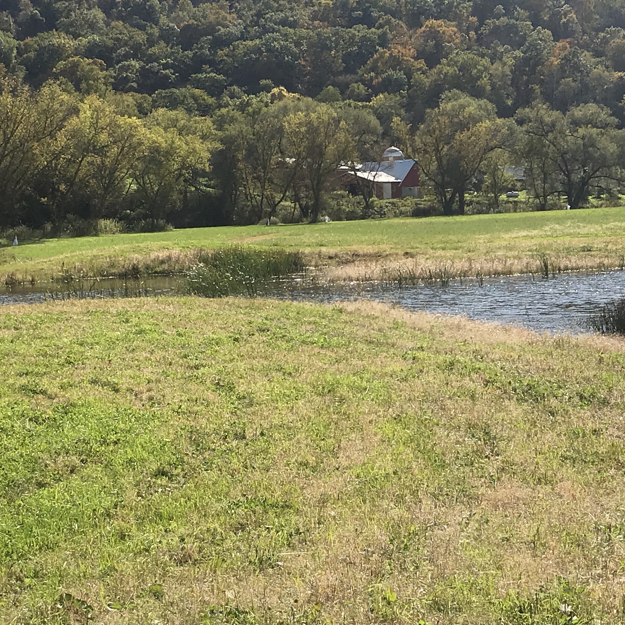 Reaction Retrievers, LLC Winona