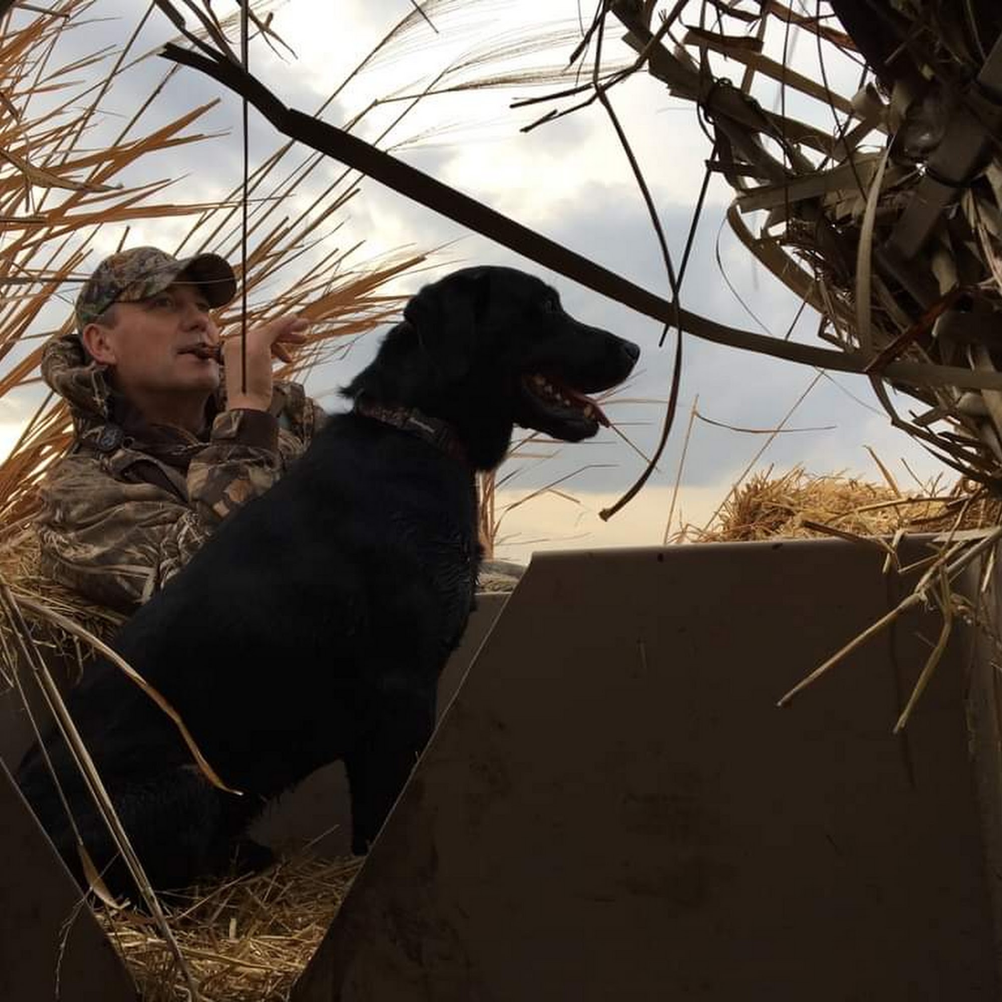 Reaction Retrievers, LLC 24323 US-14, Winona Minnesota 55987