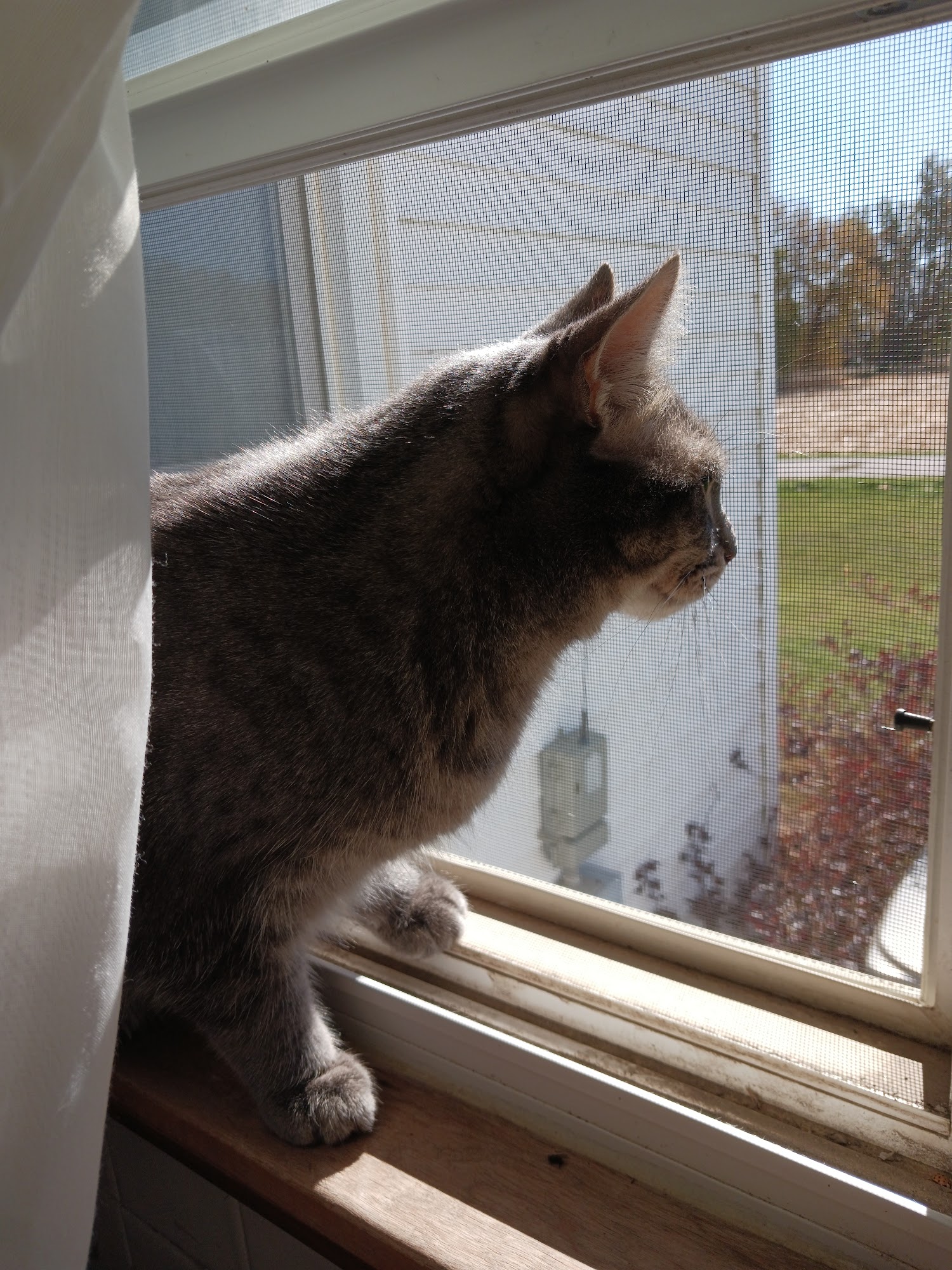 Veterinary Medical Center PA Worthington