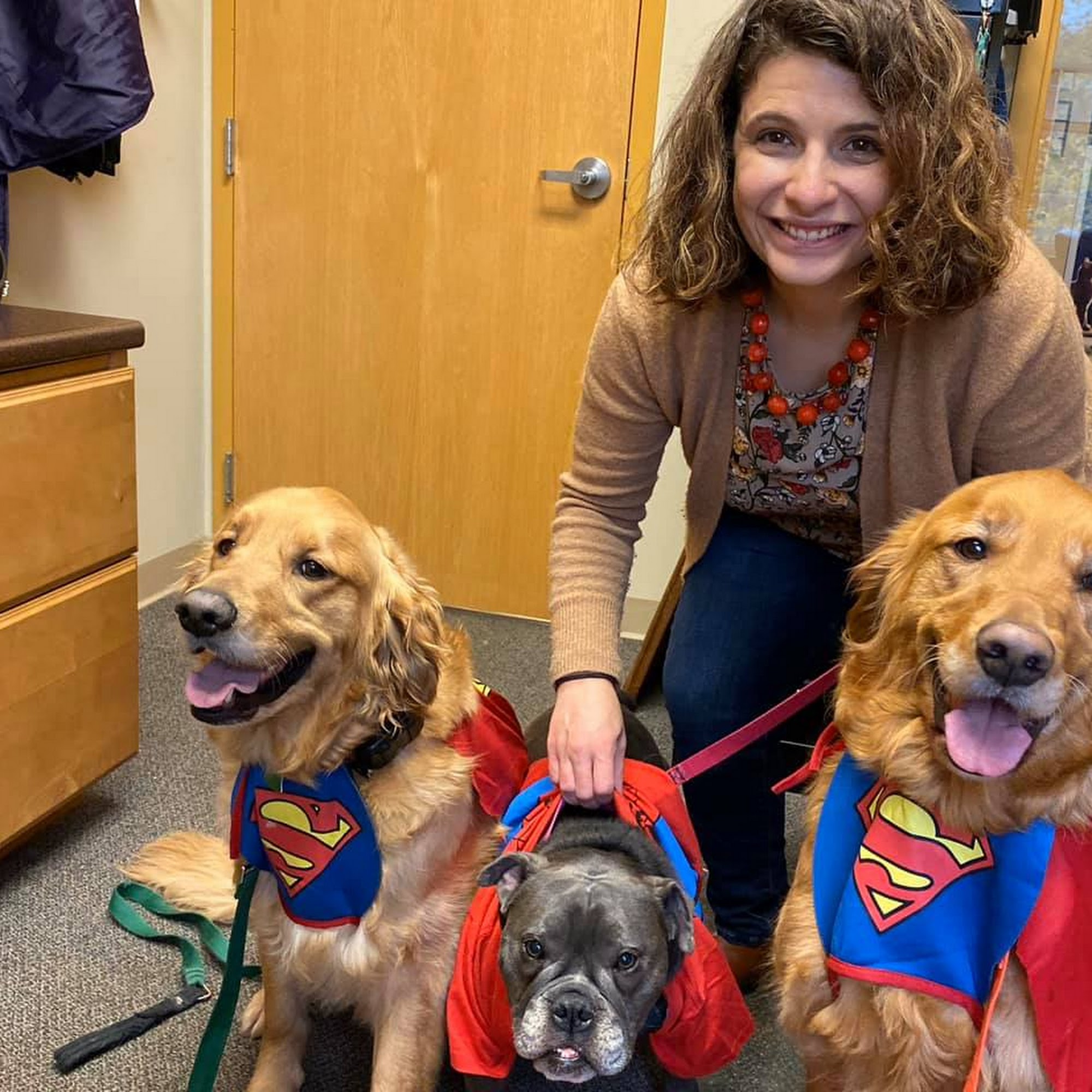 Vogel Veterinary Hospital Arnold