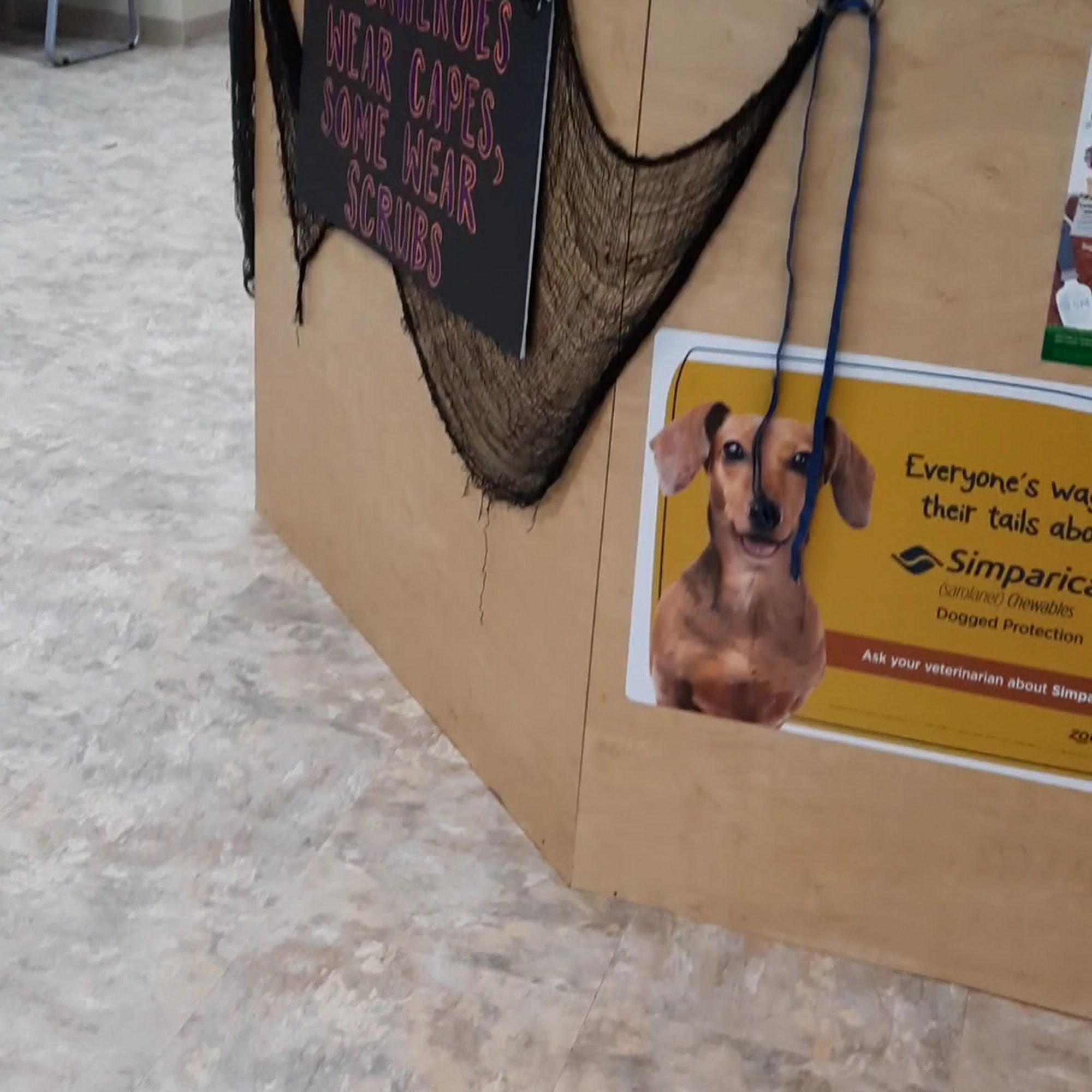 Vogel Veterinary Hospital: Dr. Tom Shelton, DVM Arnold