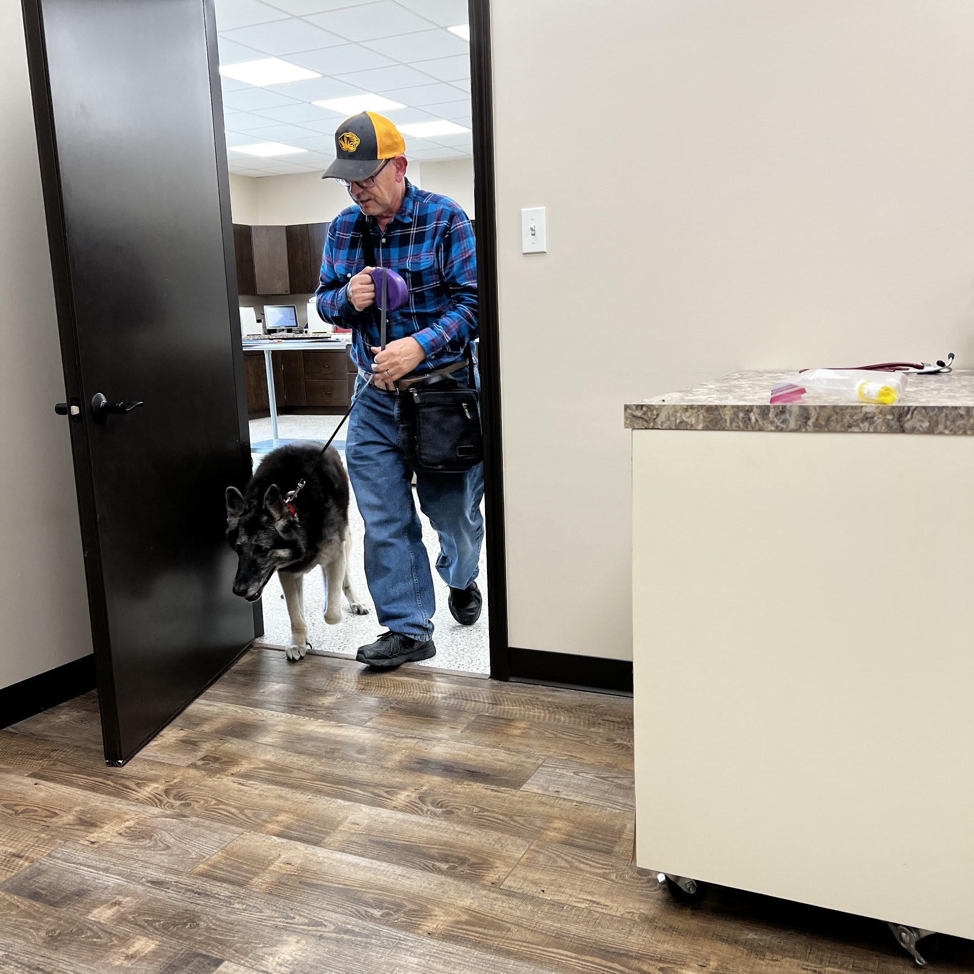 Heartland Animal Hospital Ashland