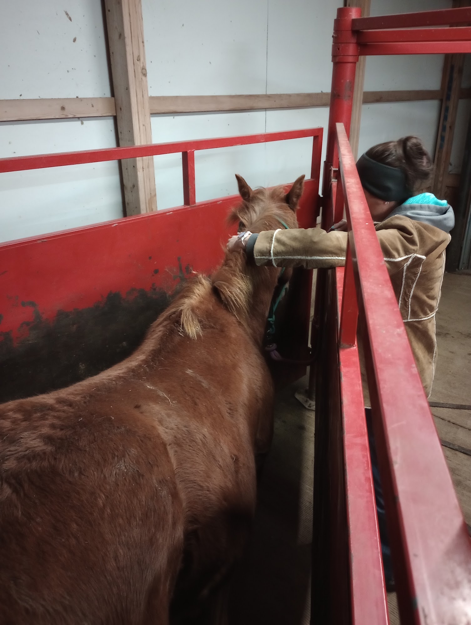 Countryside Animal Clinic Aurora