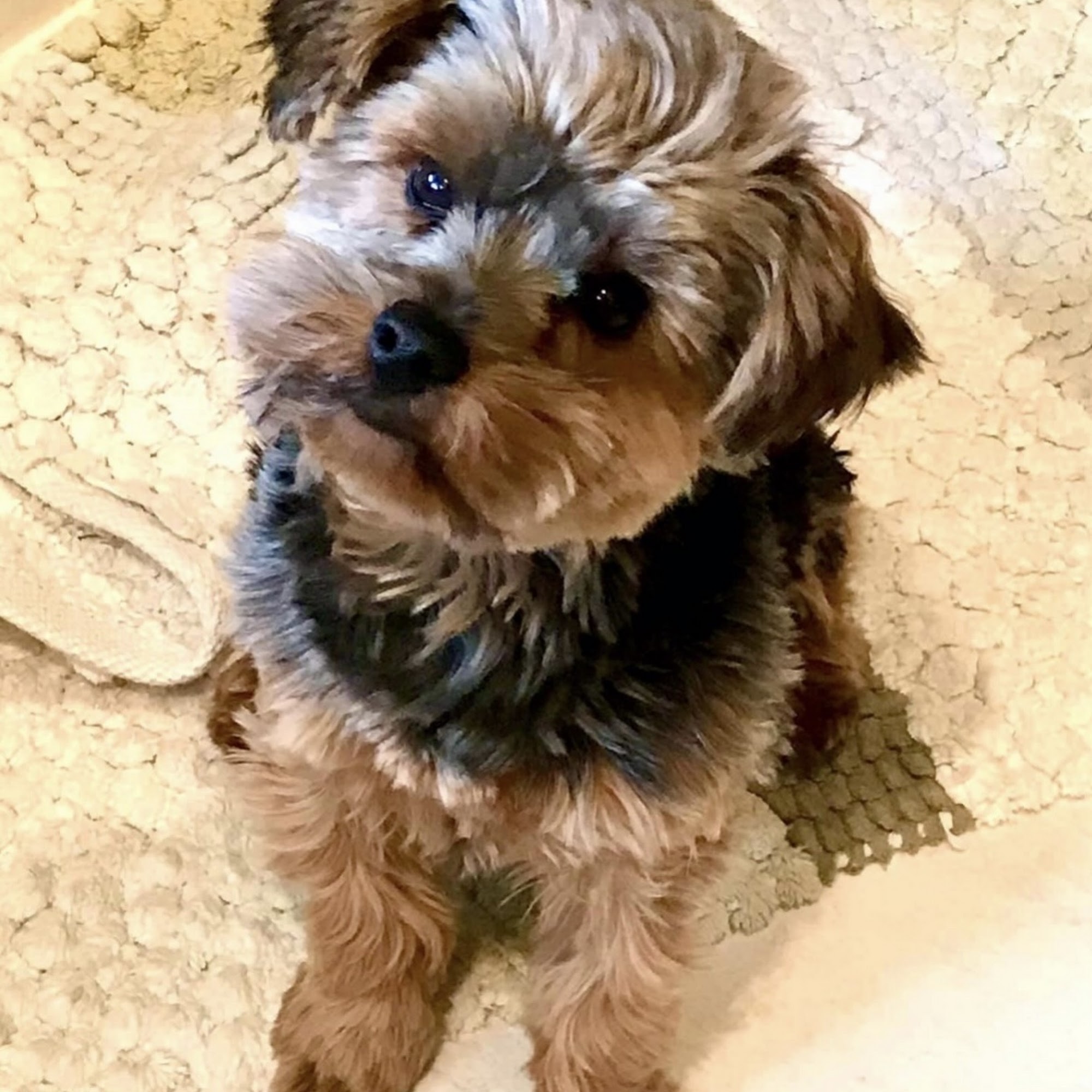 Bader Paul w DVM Aurora