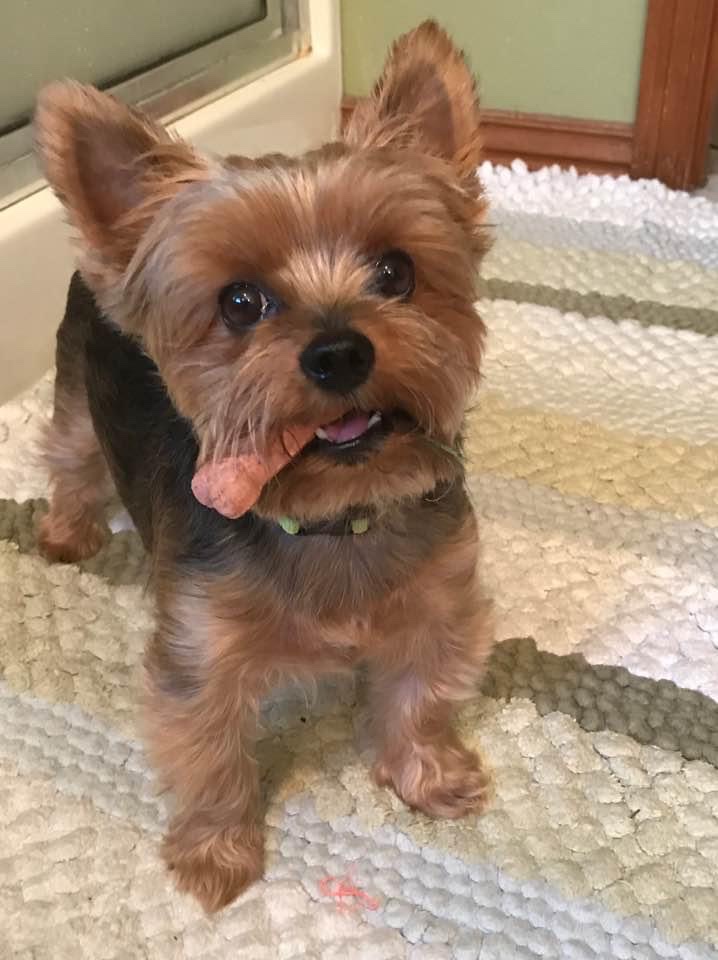 Bader Paul w DVM Aurora