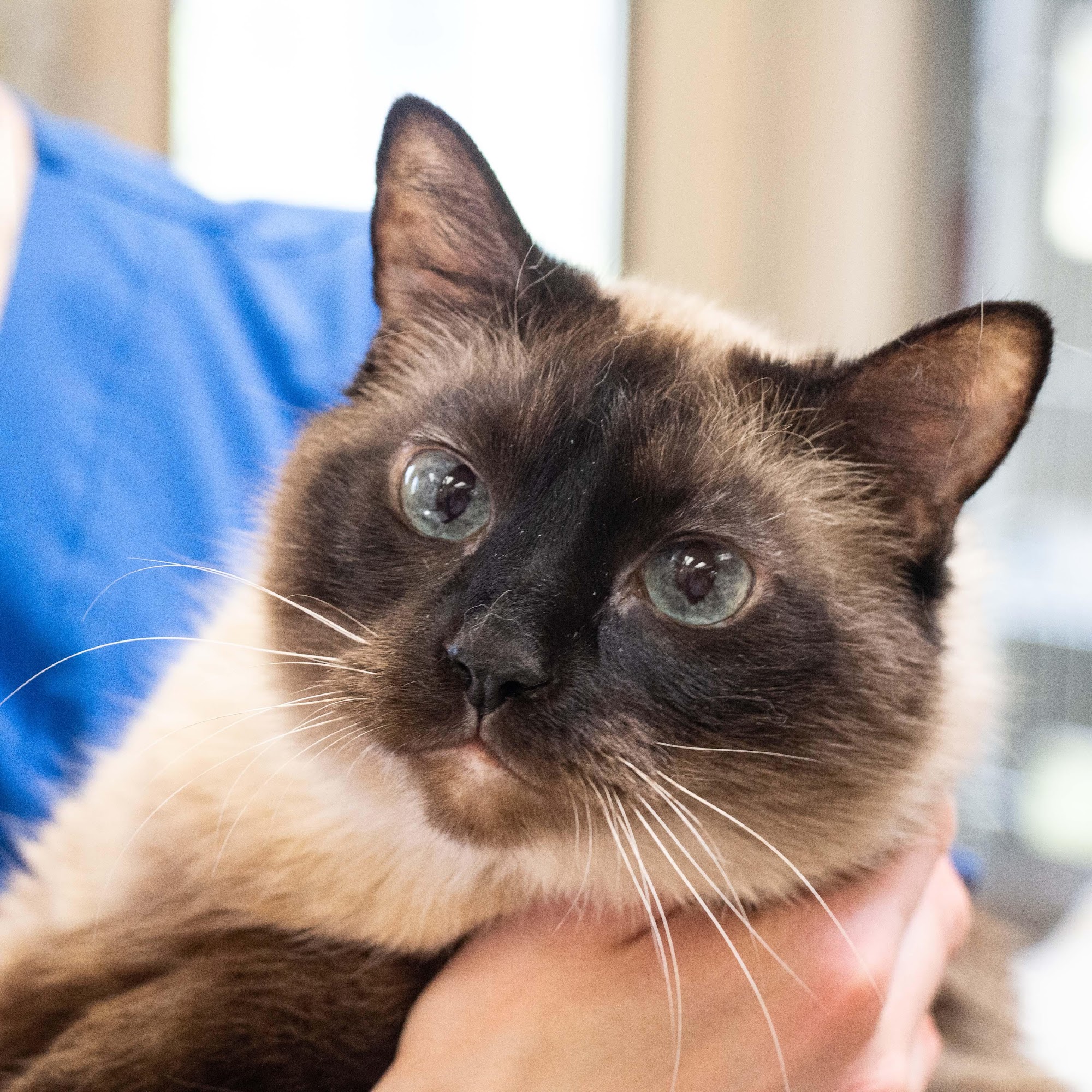 Belton Animal Clinic & Exotic Care Center Belton