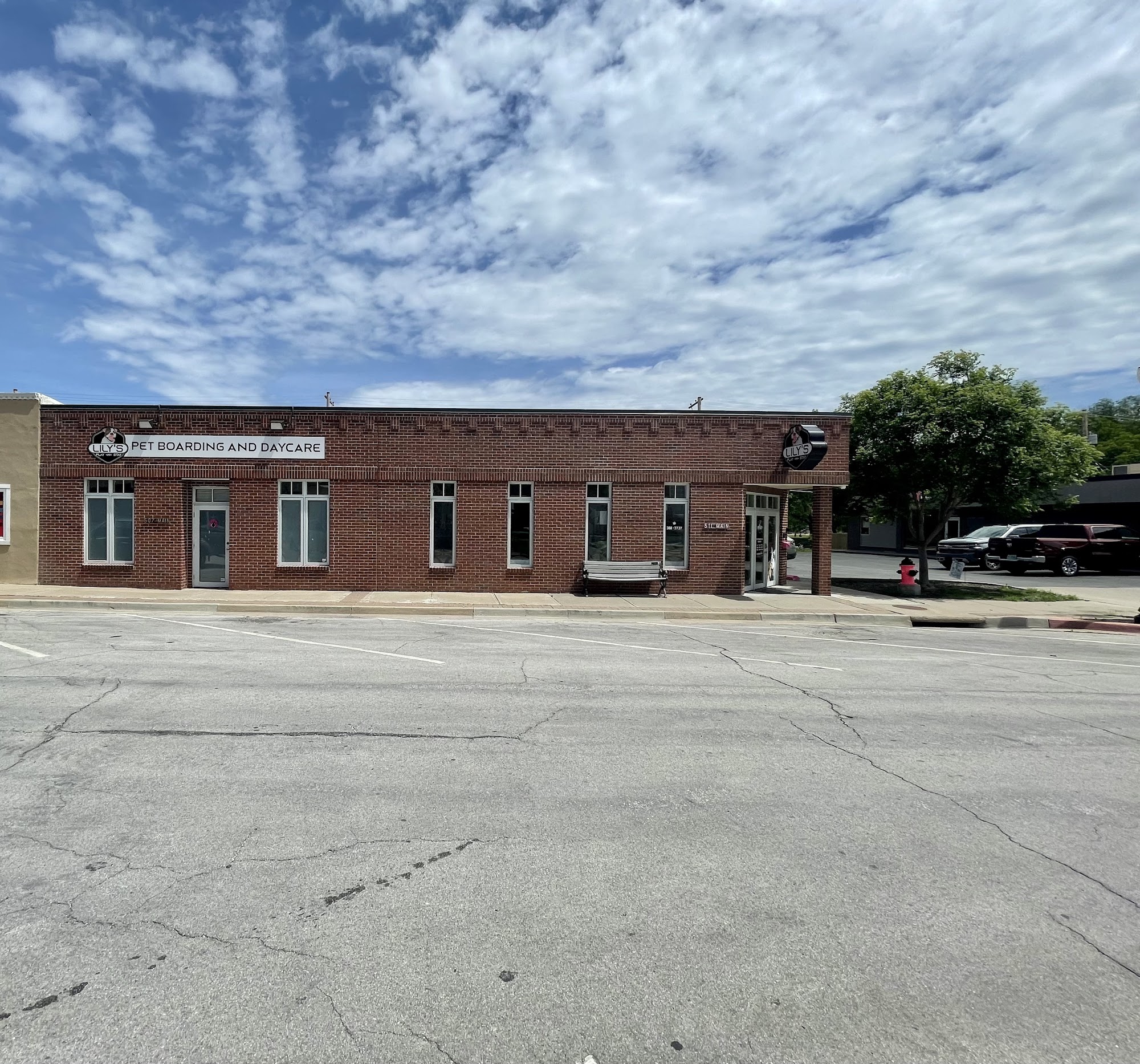 Lily's Play-N-Stay Belton