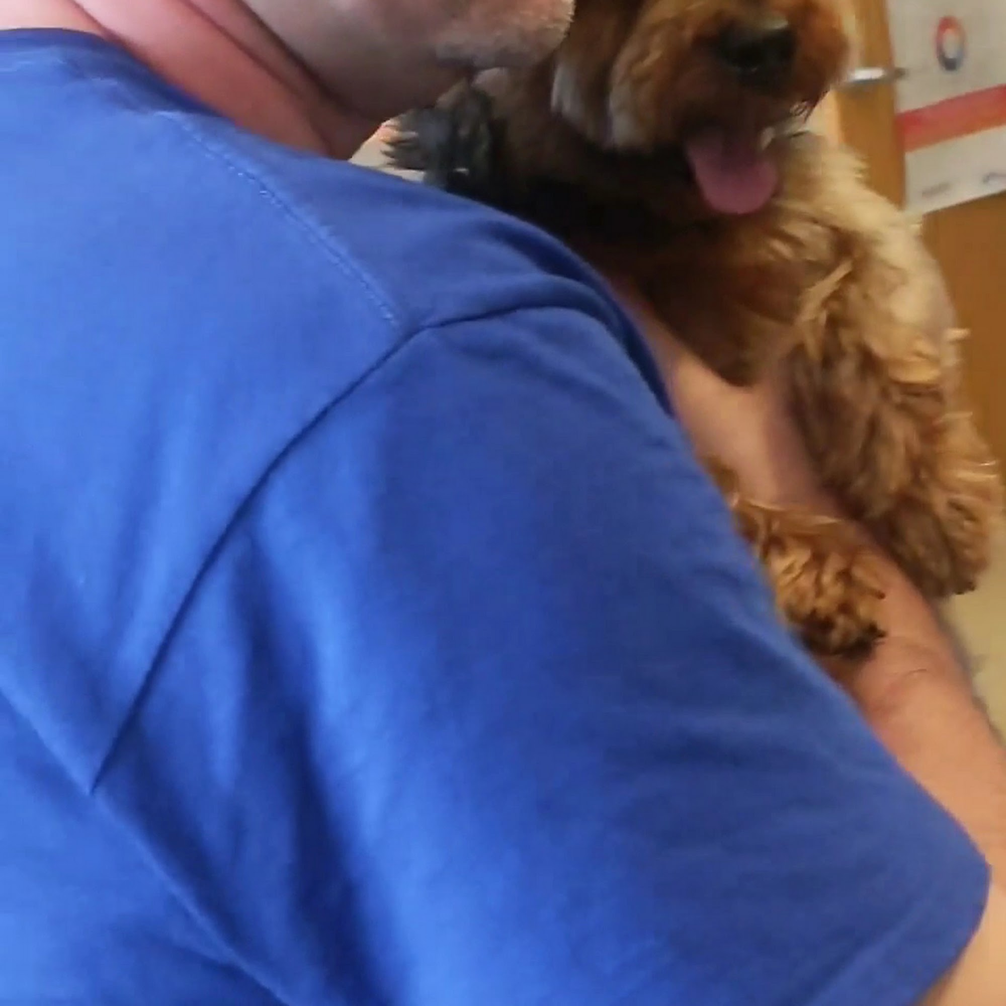 Cavanaugh Pet Hospital Blue Springs