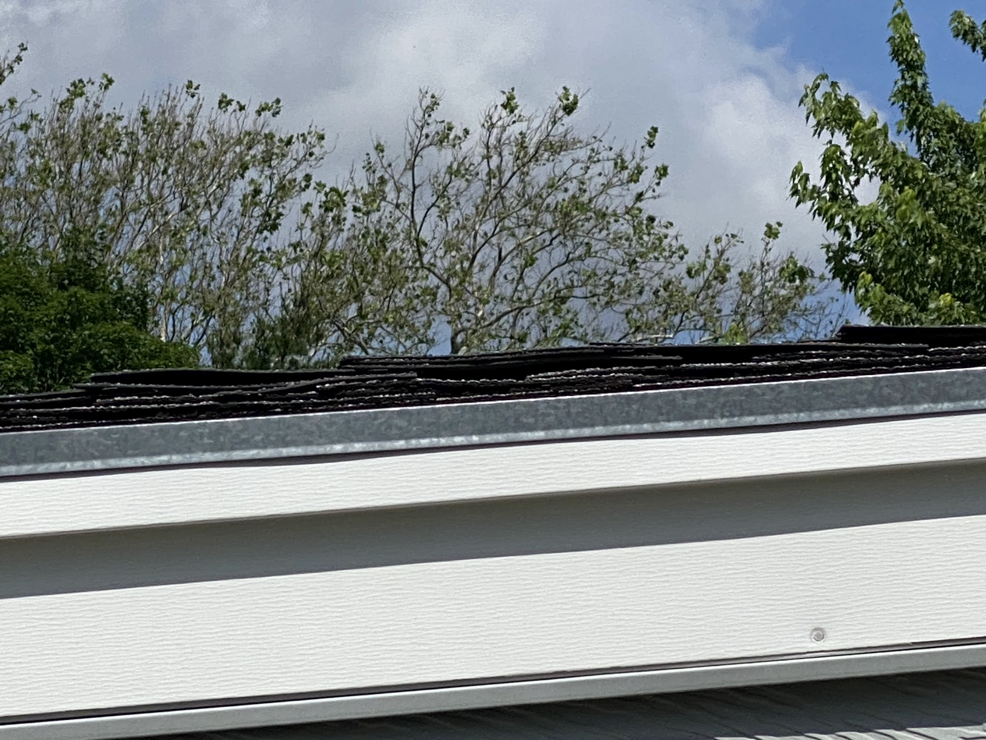 All or Nothing Roofing