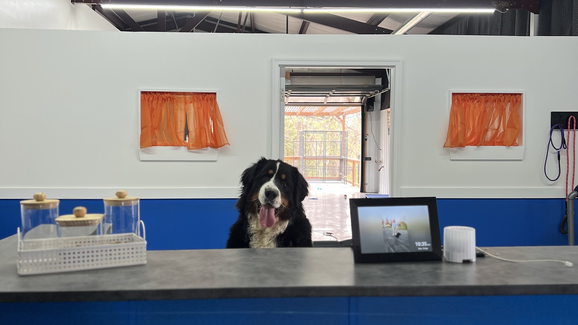 Lucky Lodge Dog Boarding 5101 SW Lake Tapawingo Ln, Blue Springs Missouri 64015