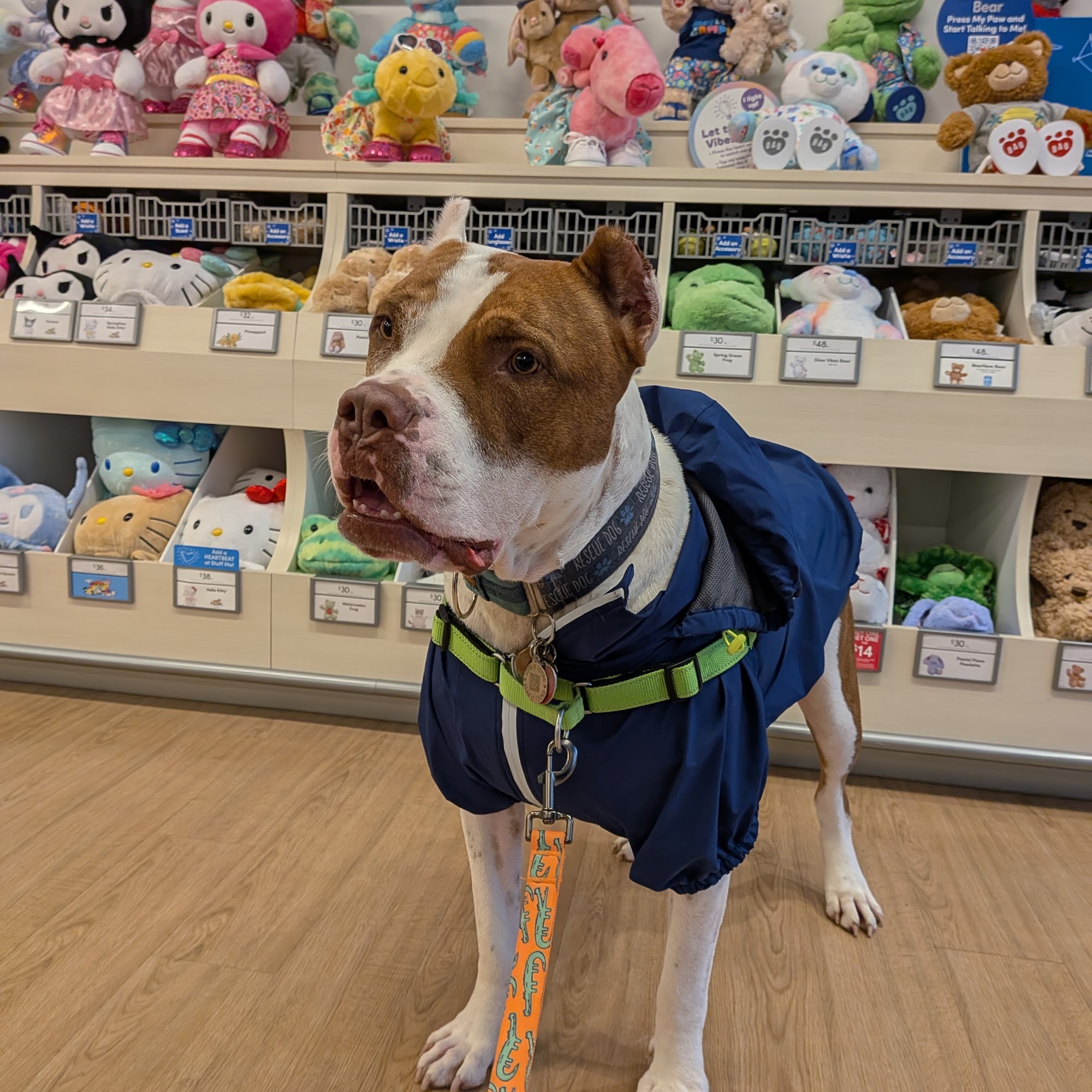 Build-A-Bear Blue Springs