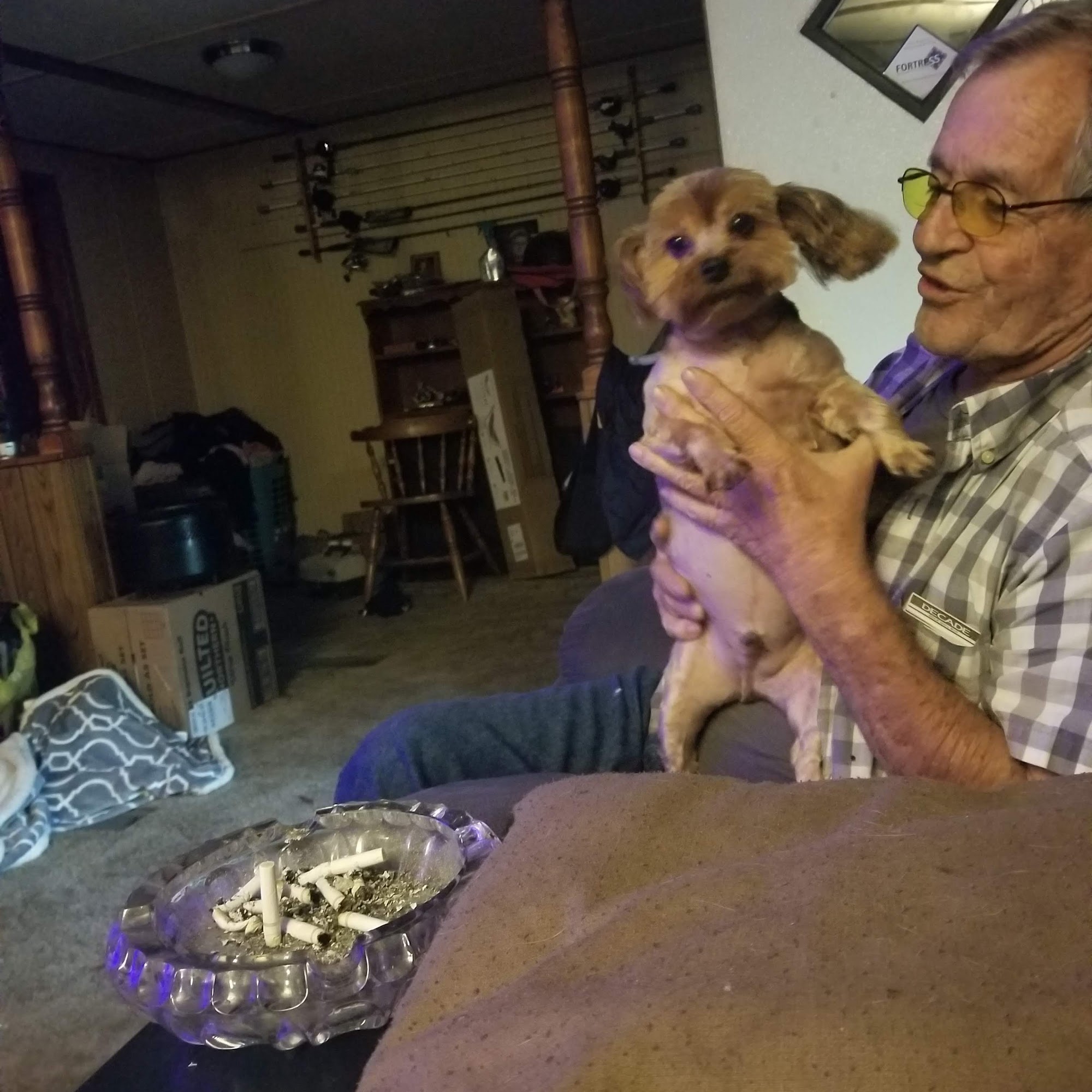 Animal House Boarding and Grooming Bolivar