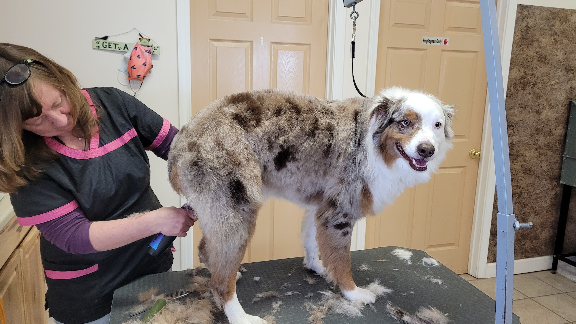 Kira's Pet Retreat, LLC Bolivar