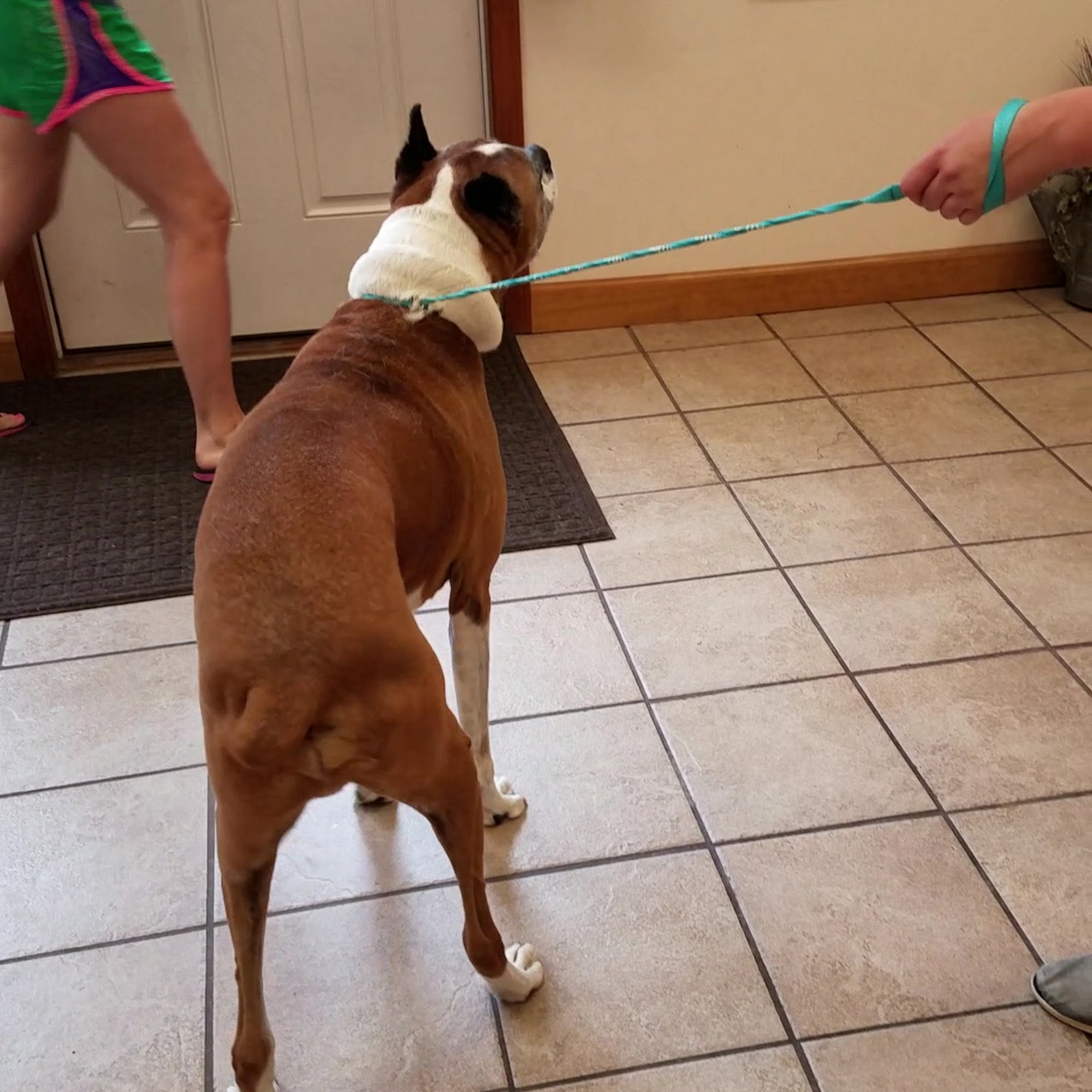 Kira's Pet Retreat, LLC Bolivar