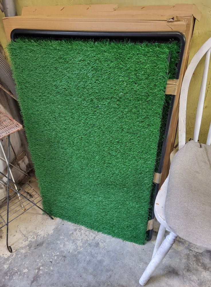 Kathy's Pet Boutique Bolivar