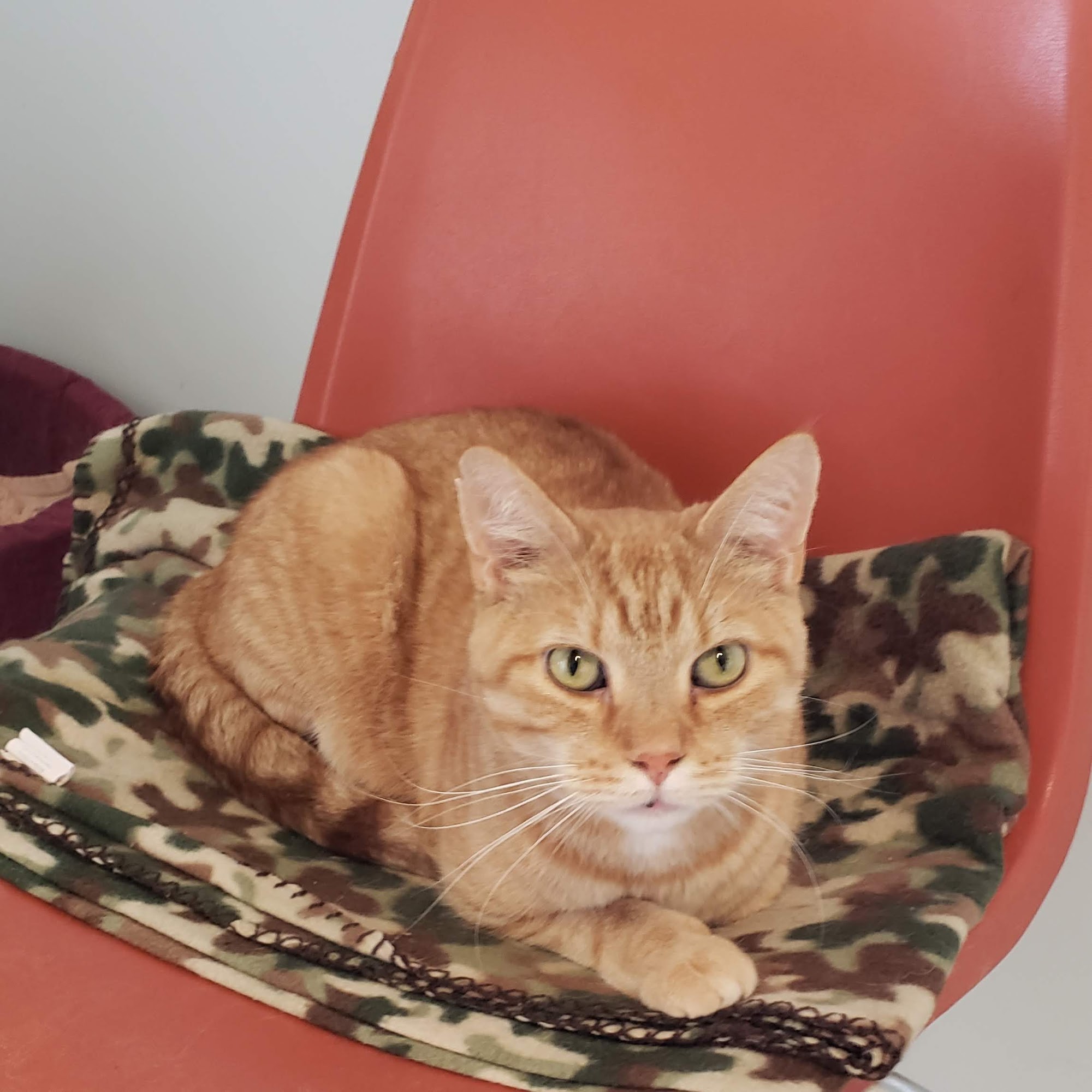 Second Chance Boonville