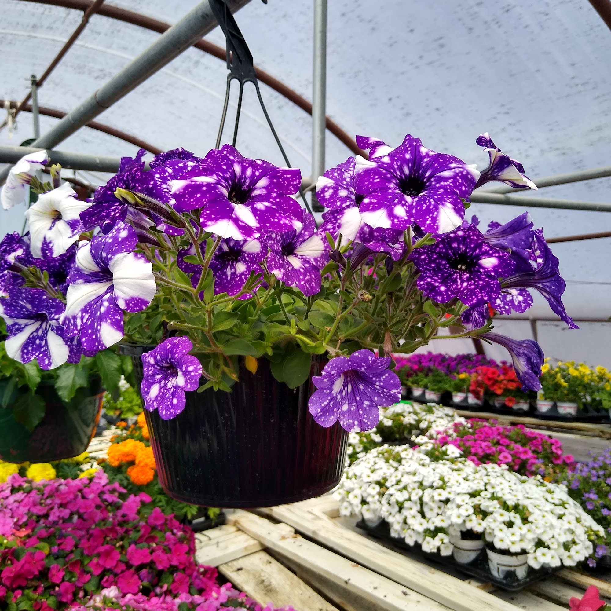 Stanaway Greenhouse & Landscaping Supply