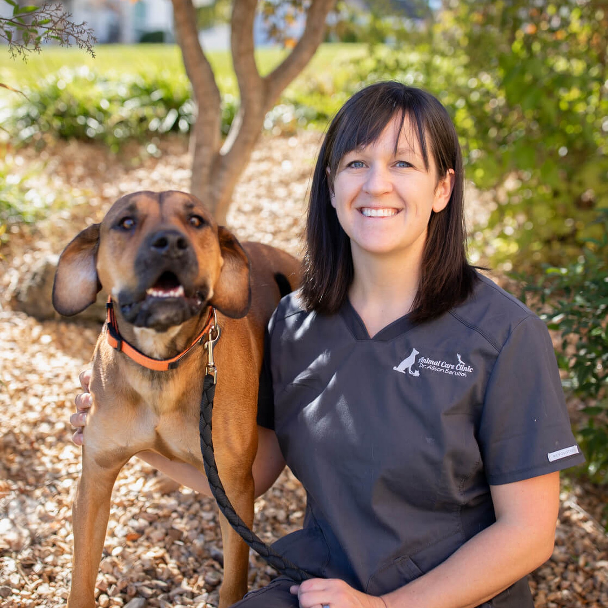 Animal Care Clinic Branson