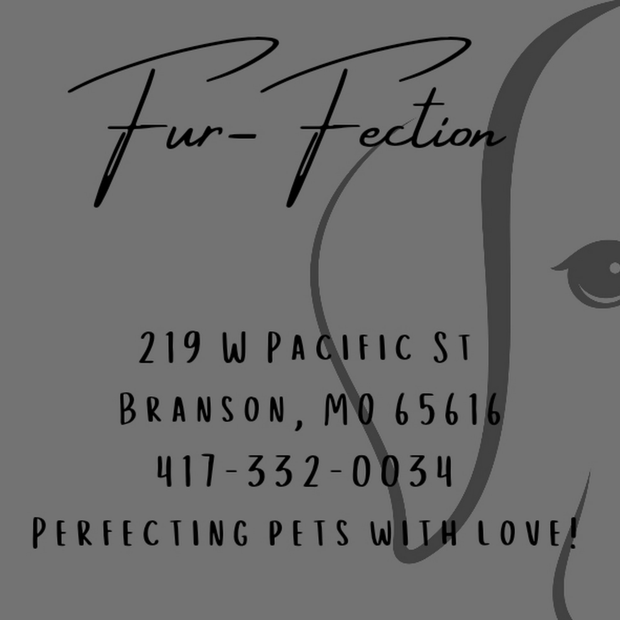 Fur Fection Grooming Branson