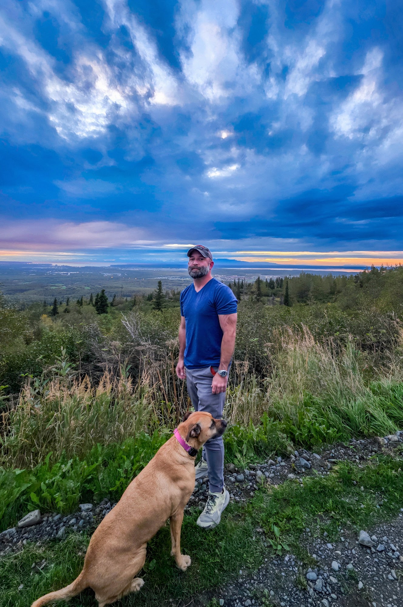 STL Happy Dogs, LLC Brentwood